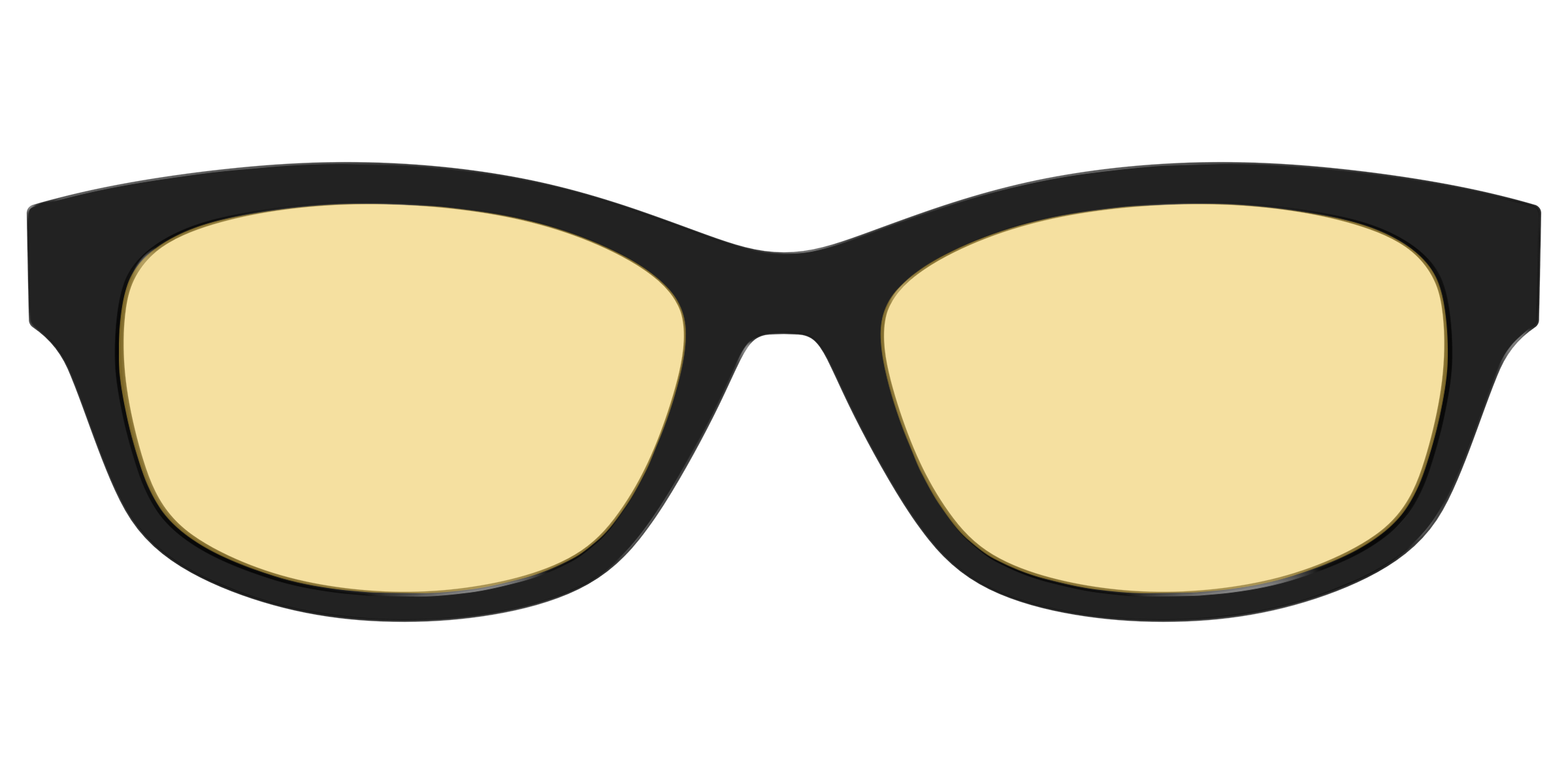 The Black With Citrine Yellow Lens - Image 39