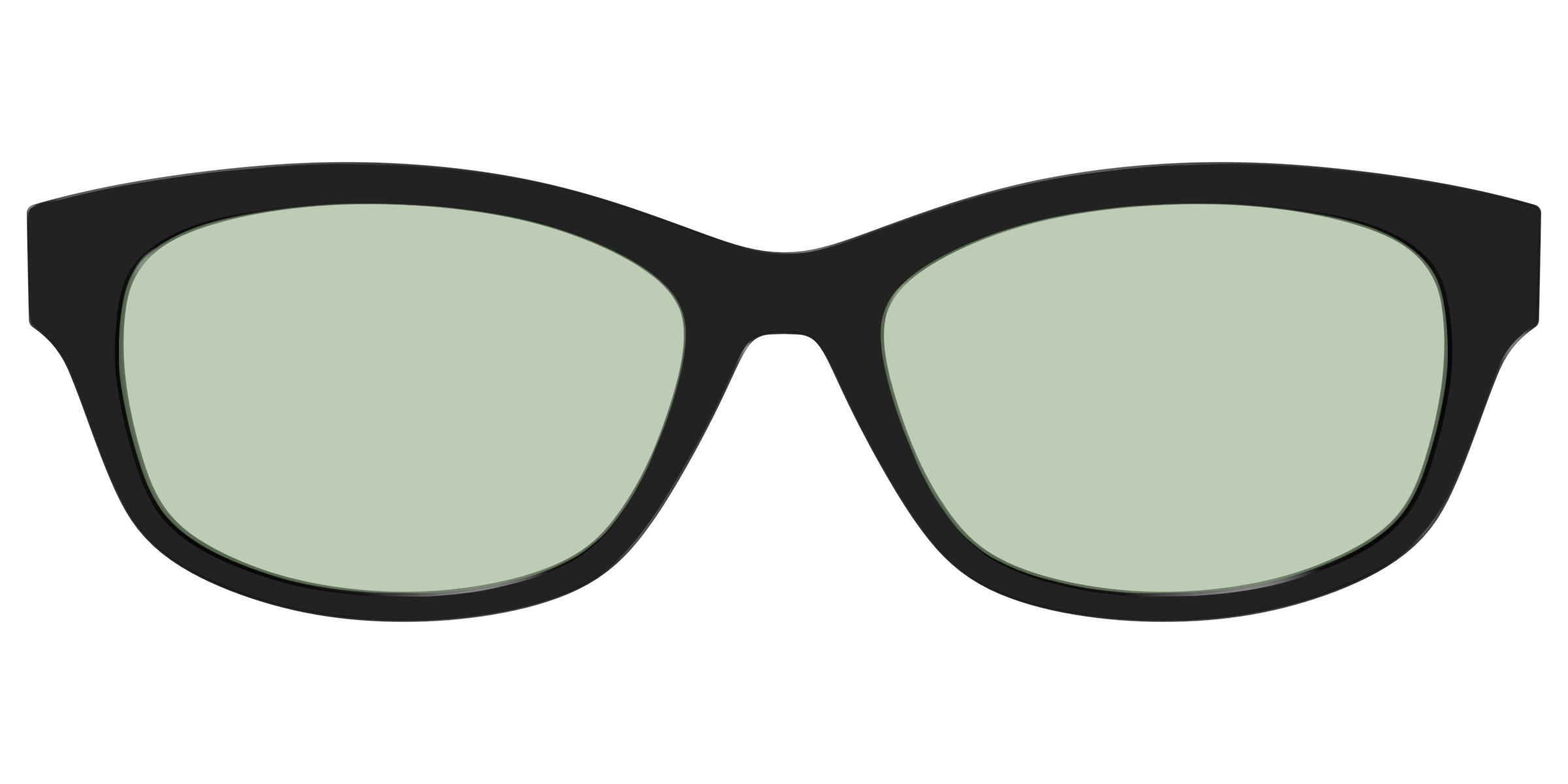 The Black With Sage Green Lens - Image 39