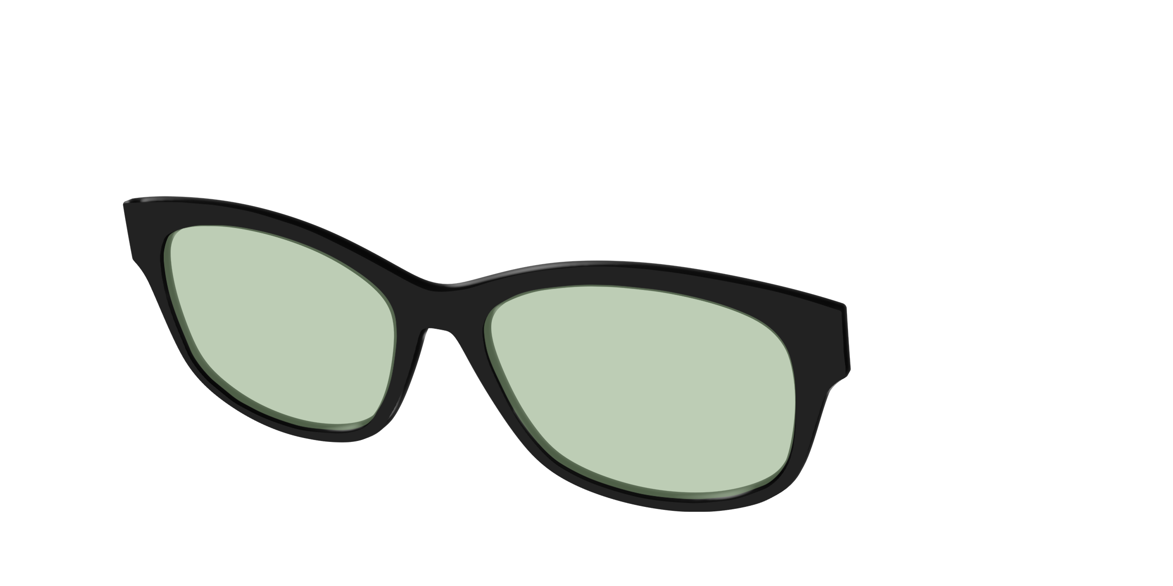 The Black With Sage Green Lens - Image 40