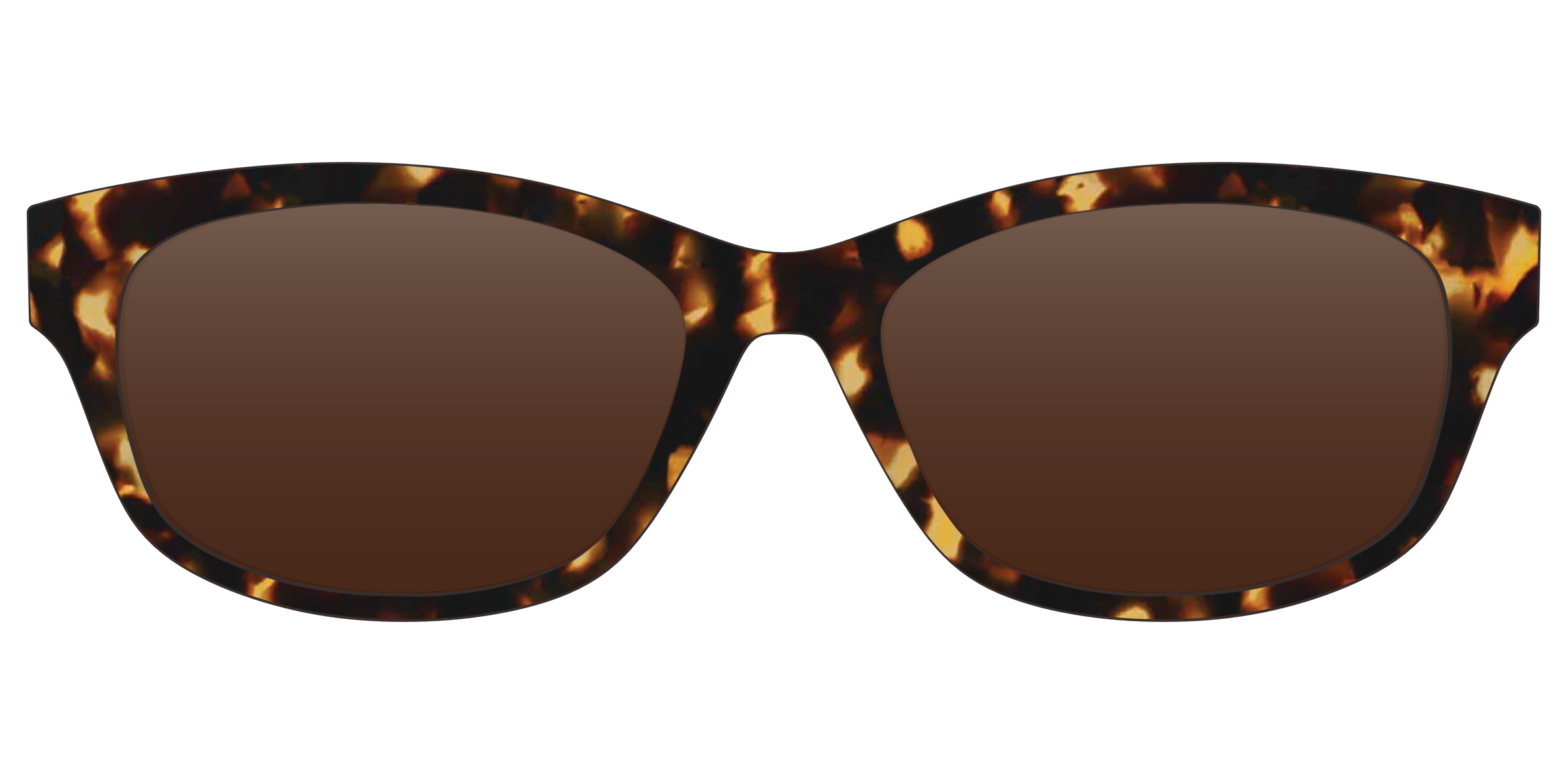 The Polarized Tortoise Sun Top - Image 21