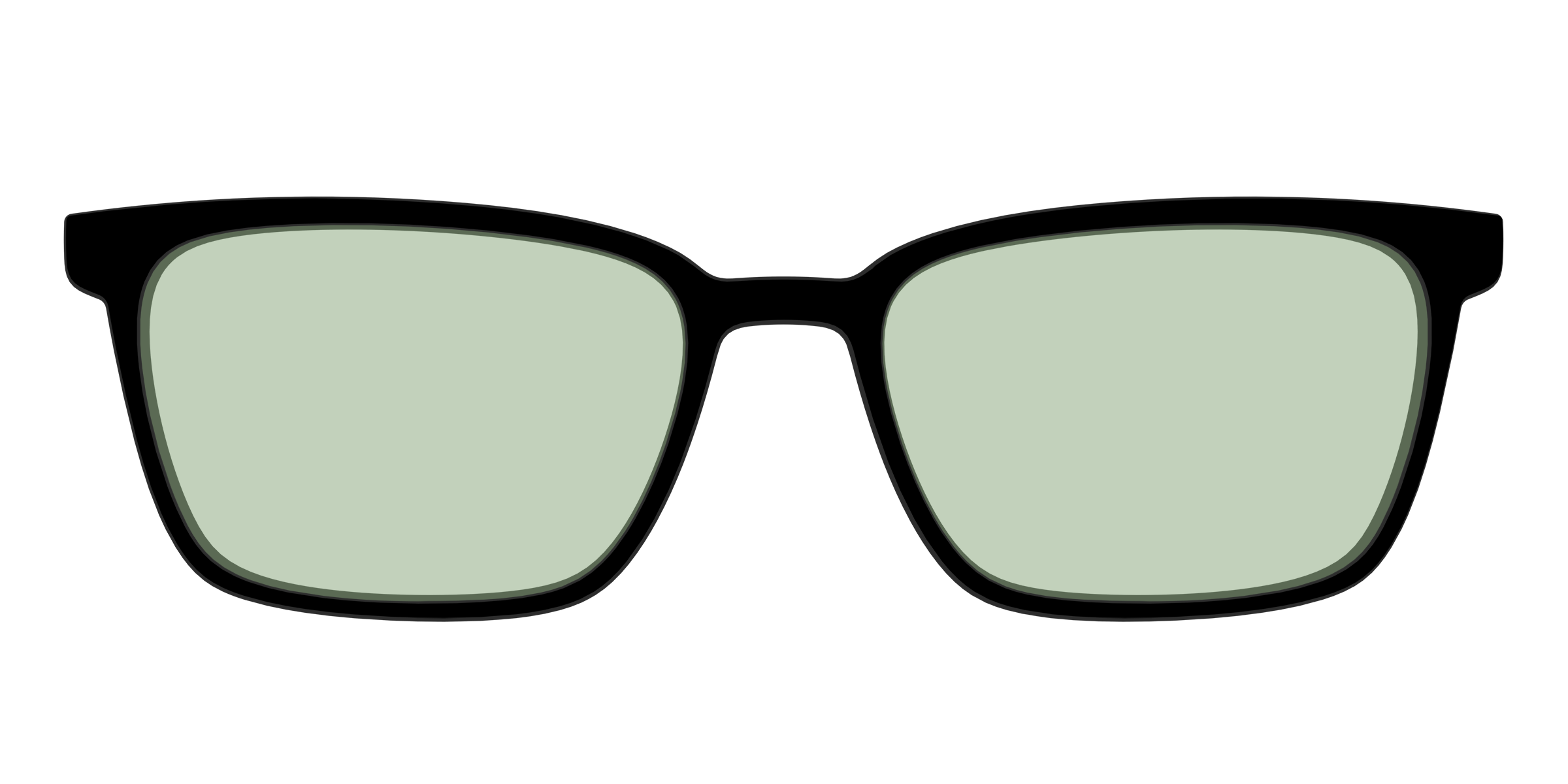 The Black With Sage Green Lens - Image 45