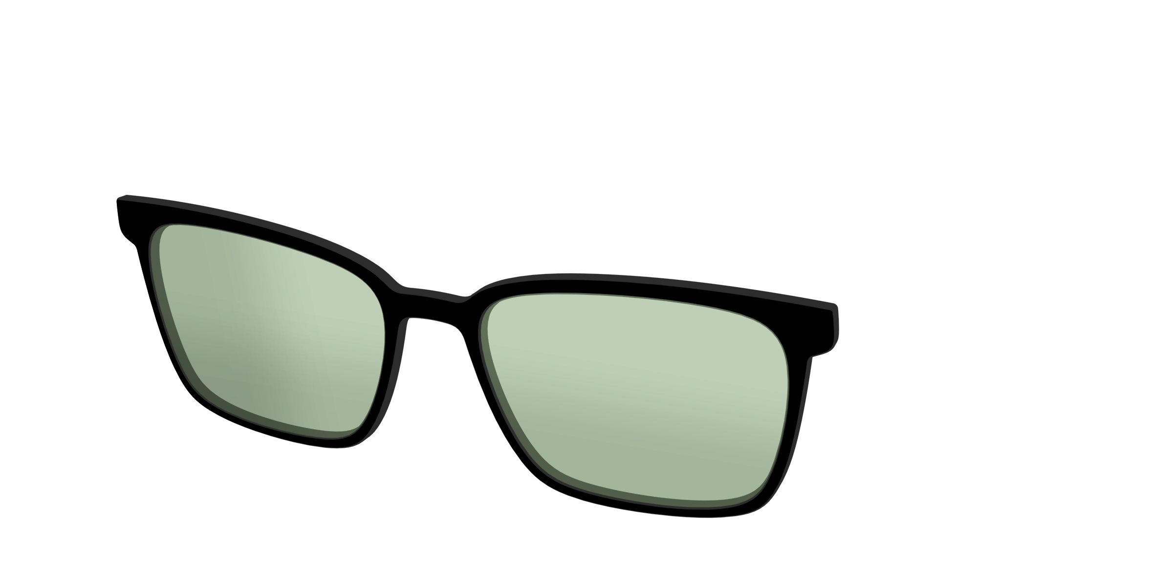 The Black With Sage Green Lens - Image 46
