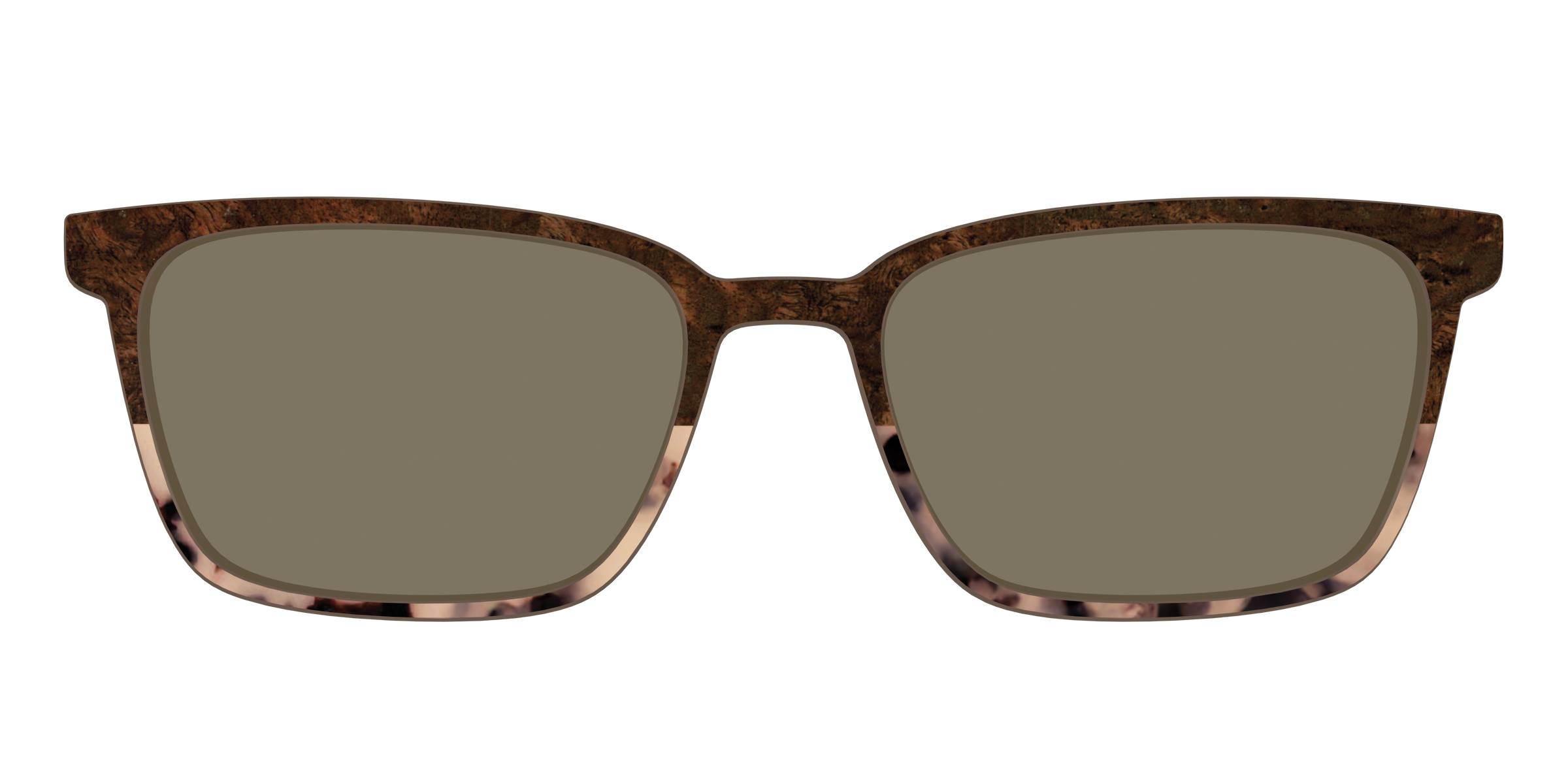 The Polarized Dark Oak Tortoise Split Sun Top - Image 45