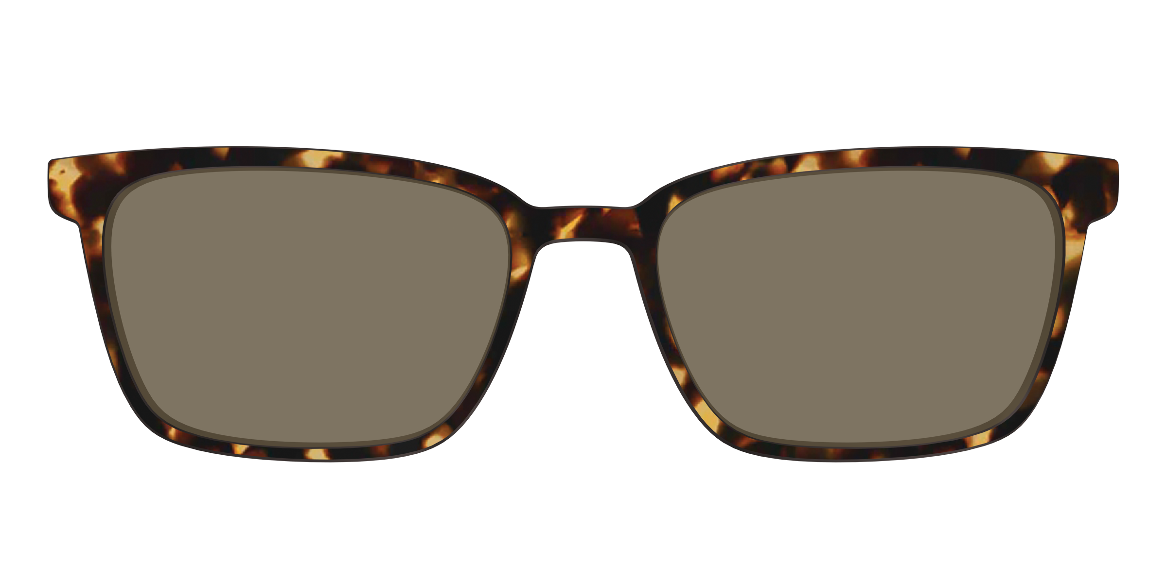 The Polarized Tortoise Sun Top - Image 27