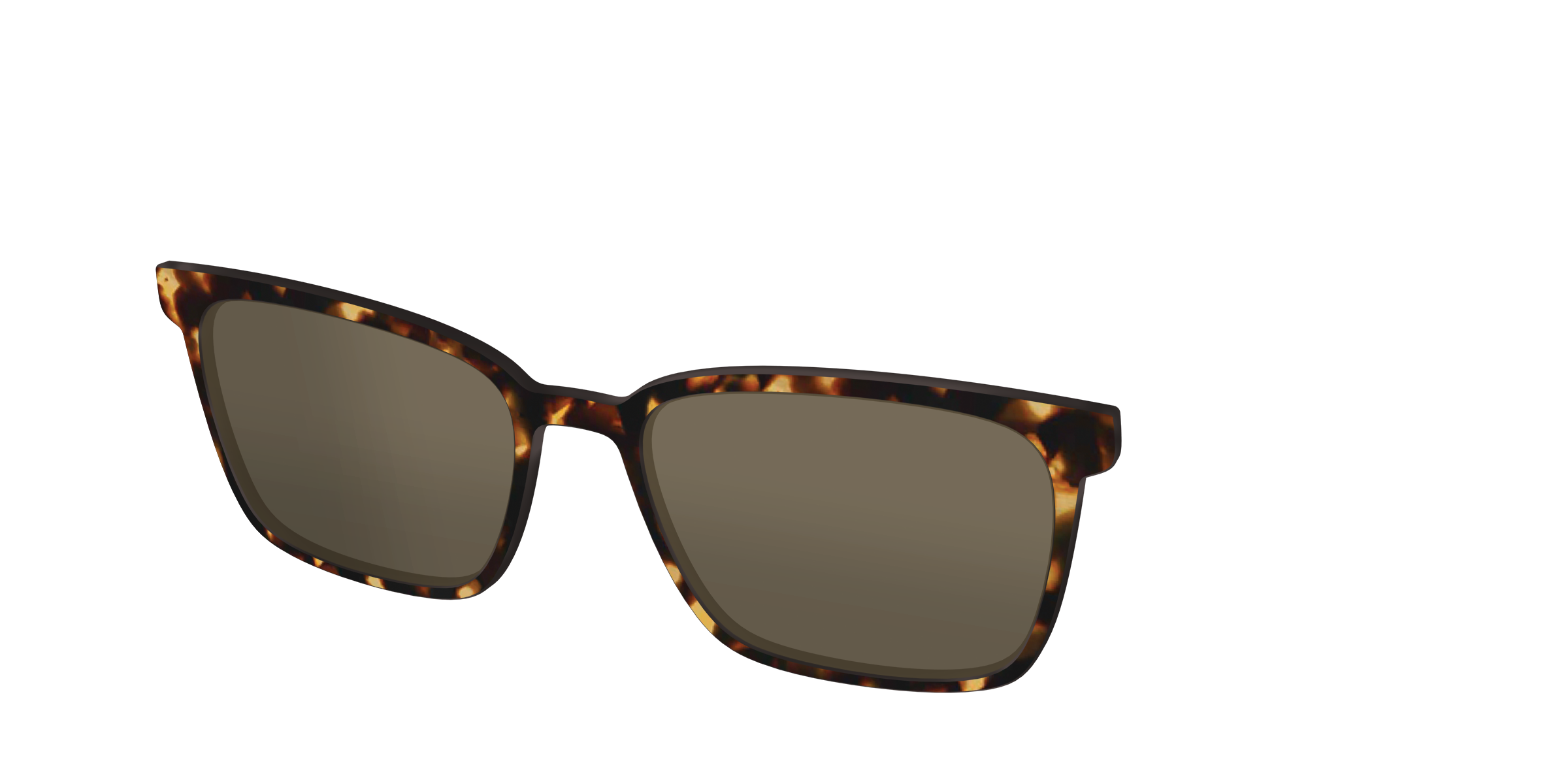 The Polarized Tortoise Sun Top - Image 28
