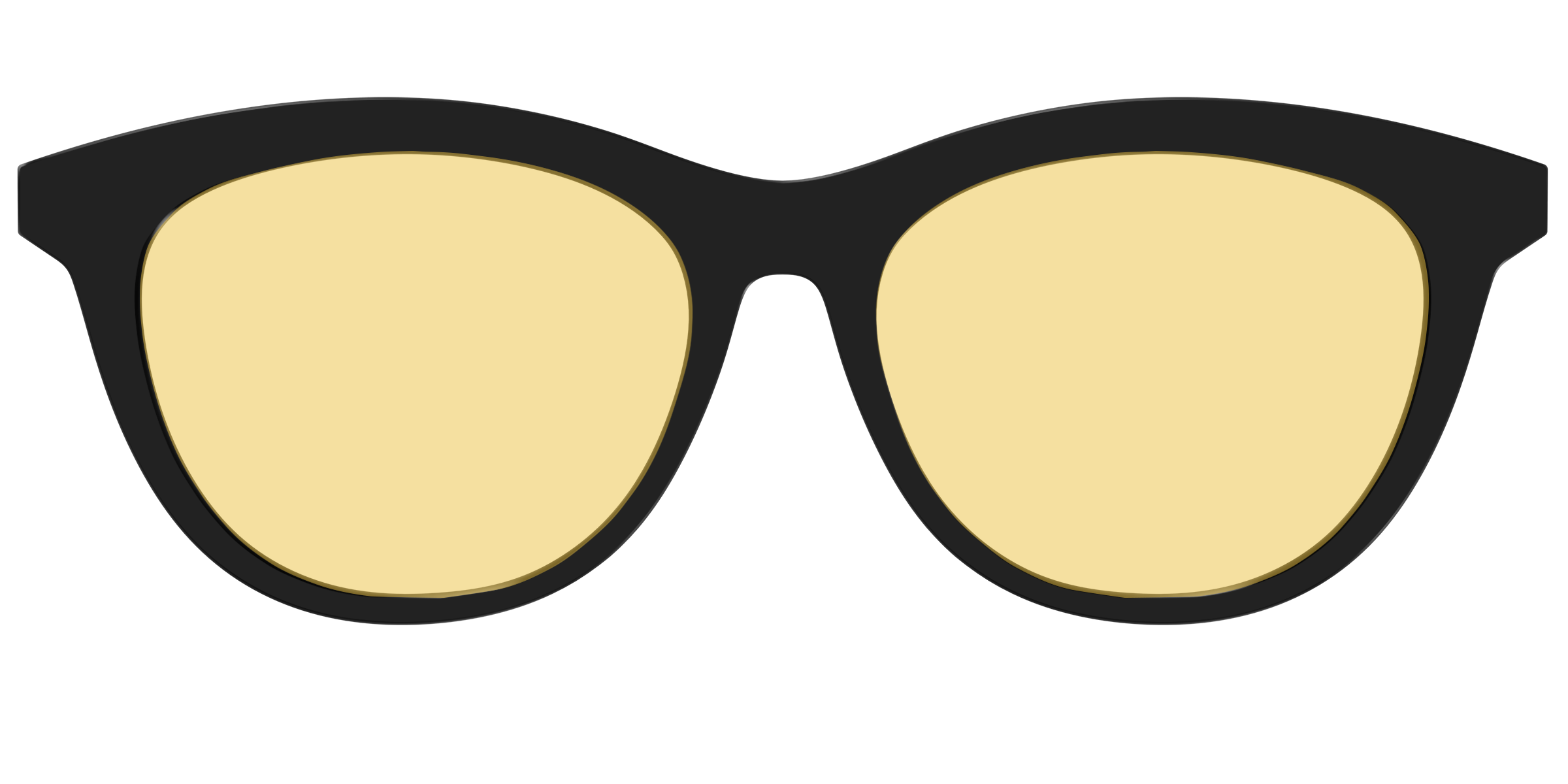 The Black With Citrine Yellow Lens - Image 41