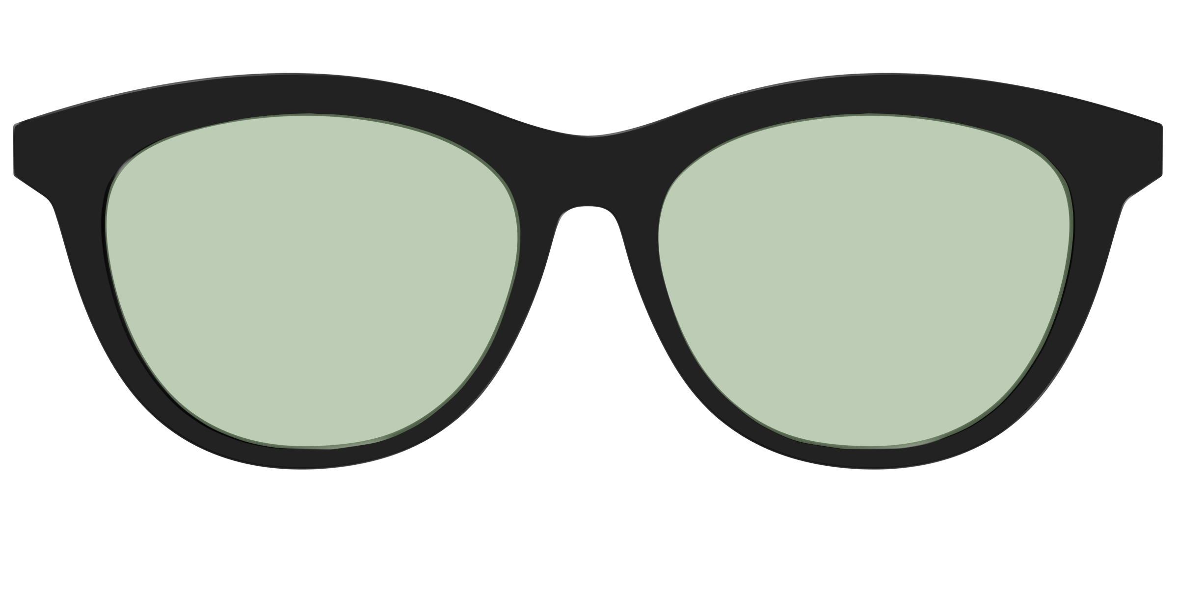 The Black With Sage Green Lens - Image 41