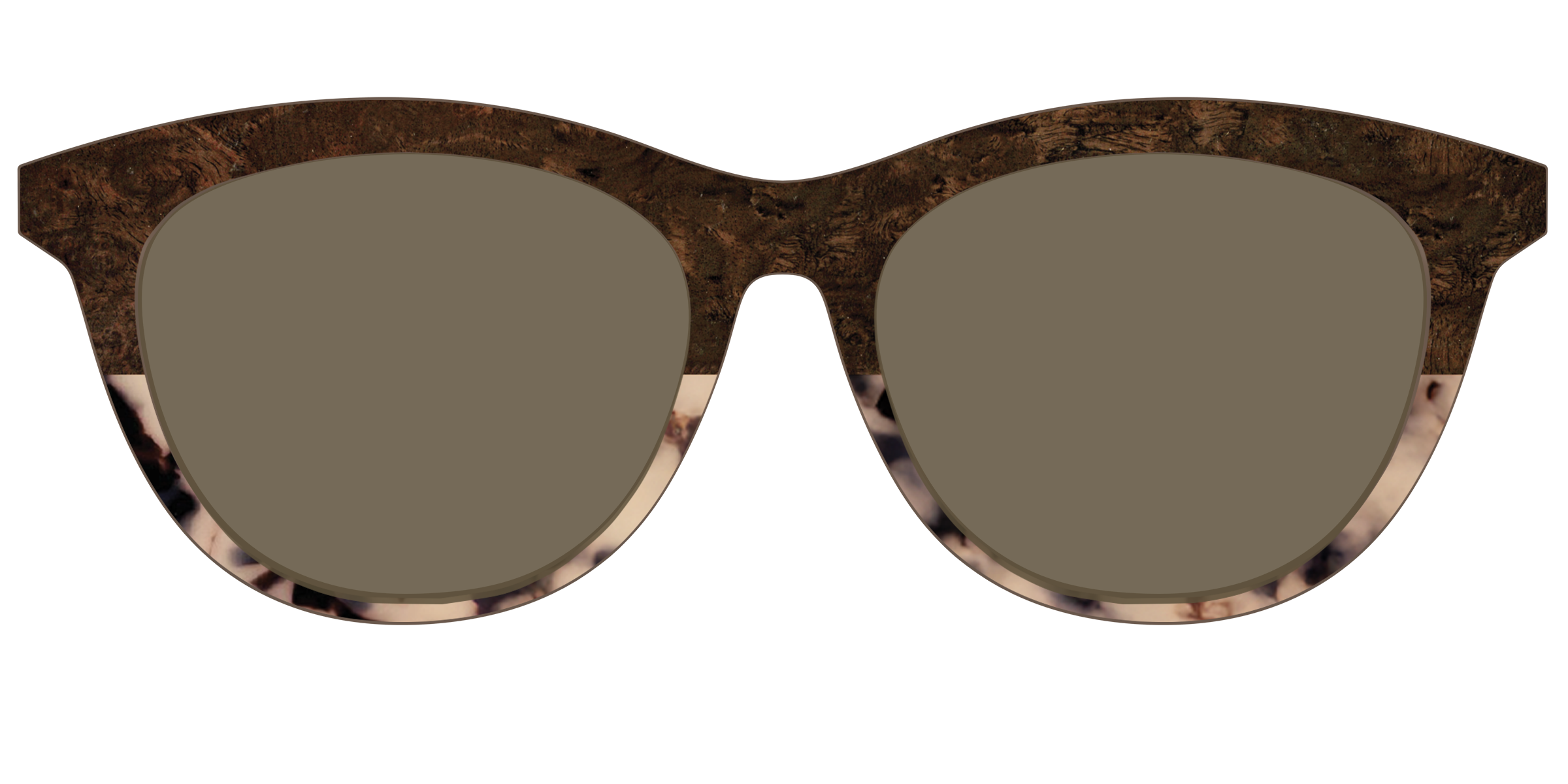 The Polarized Dark Oak Tortoise Split Sun Top - Image 41
