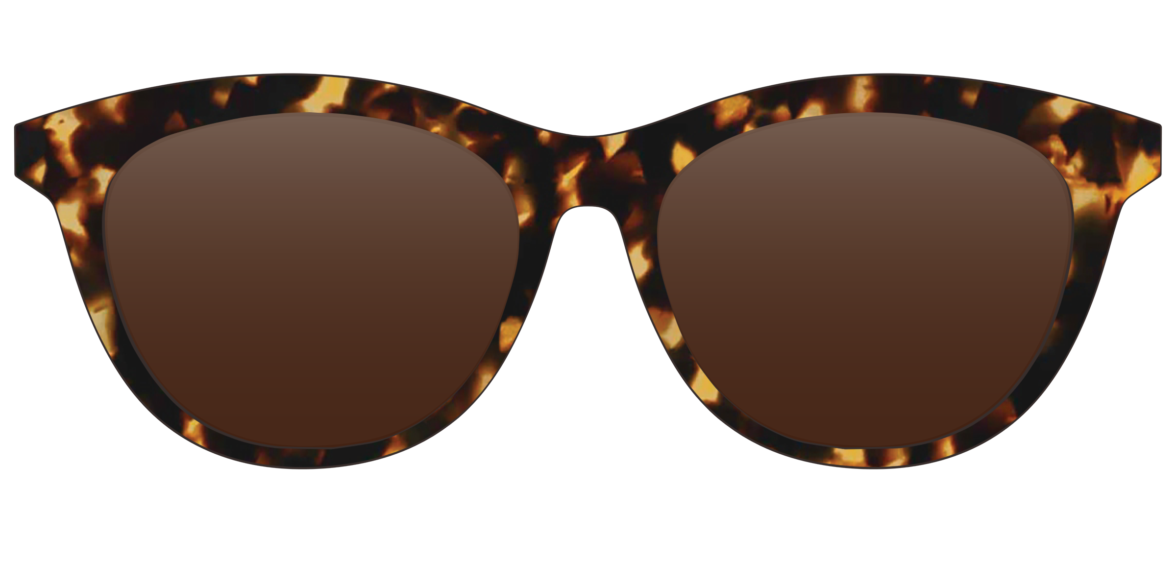 The Polarized Tortoise Sun Top - Image 23