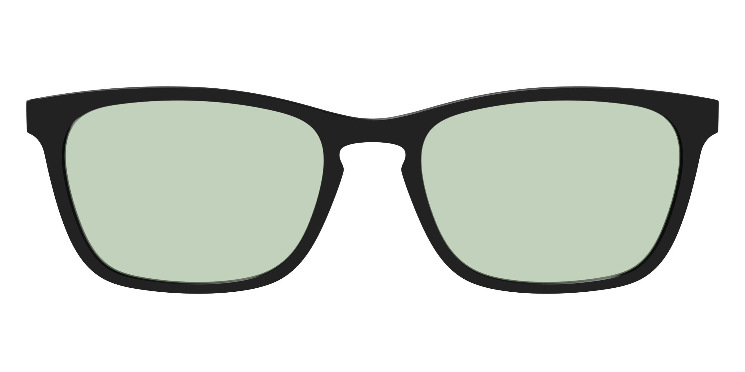 The Black With Sage Green Lens - Image 13