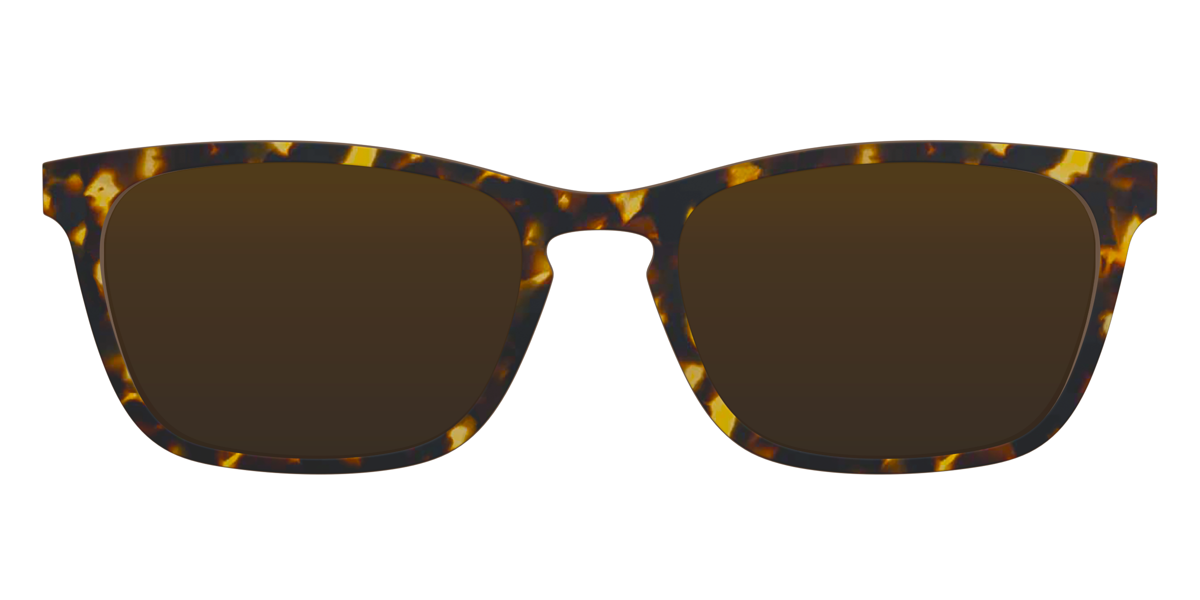 The Polarized Tortoise Sun Top - Image 7