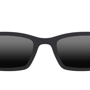 The Polarized Black Sun Top