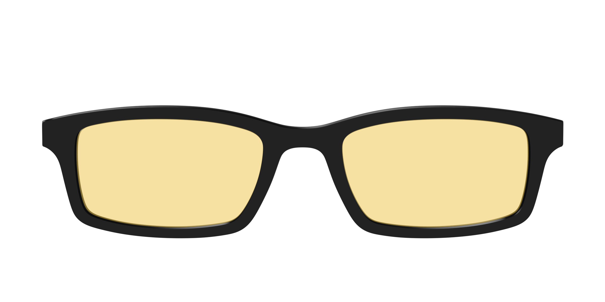 The Black With Citrine Yellow Lens