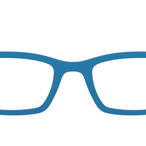 The Bondi Blue
