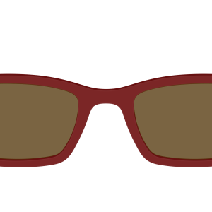 The Polarized Burgundy Sun Top