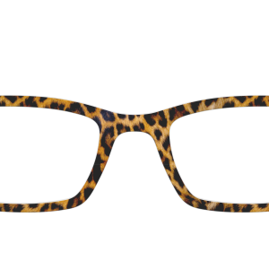 The Cheetah Spots