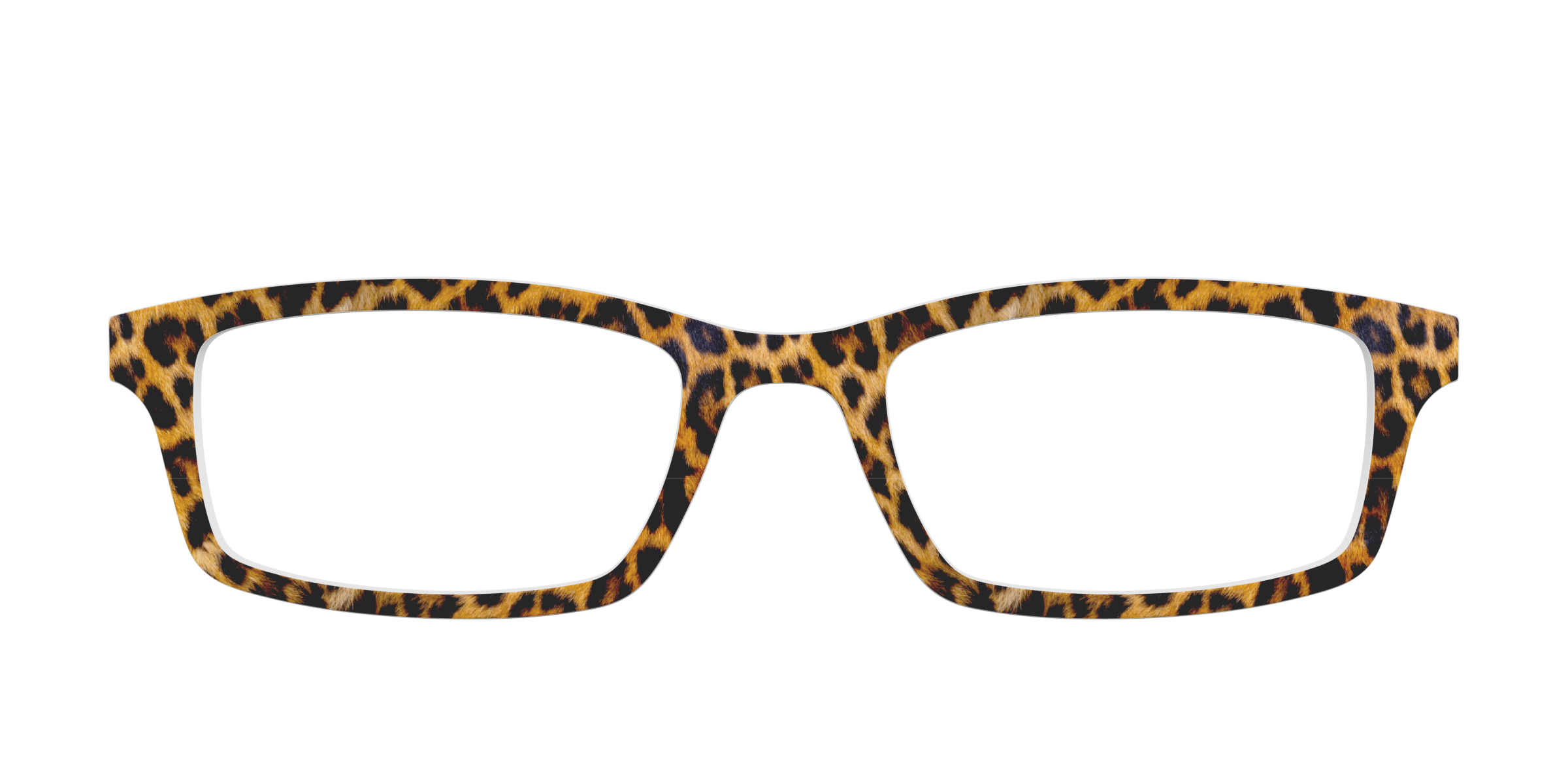 The Cheetah Spots