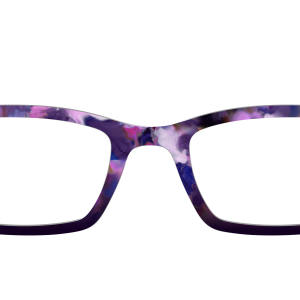 The Nocturnal Plum Tortoise