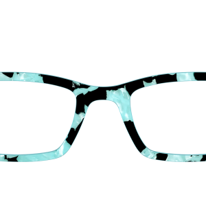 The Robin's Egg Pearl Tortoise