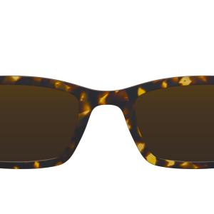 The Polarized Tortoise Sun Top