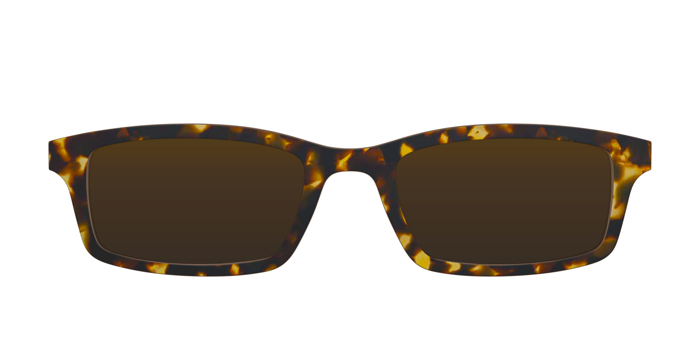 The Polarized Tortoise Sun Top