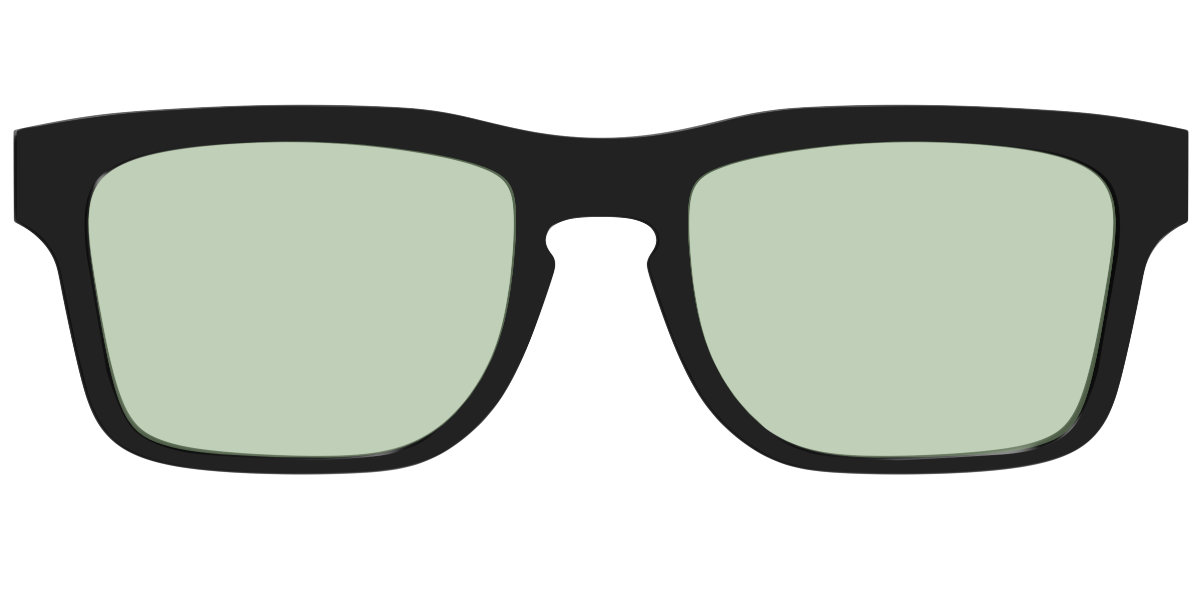 The Black With Sage Green Lens - Image 35