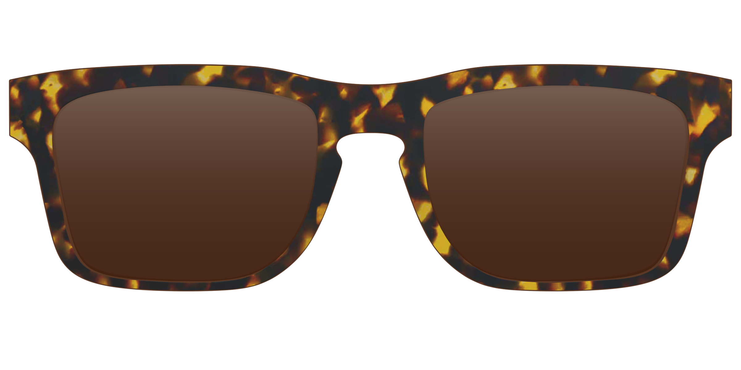The Polarized Tortoise Sun Top - Image 18