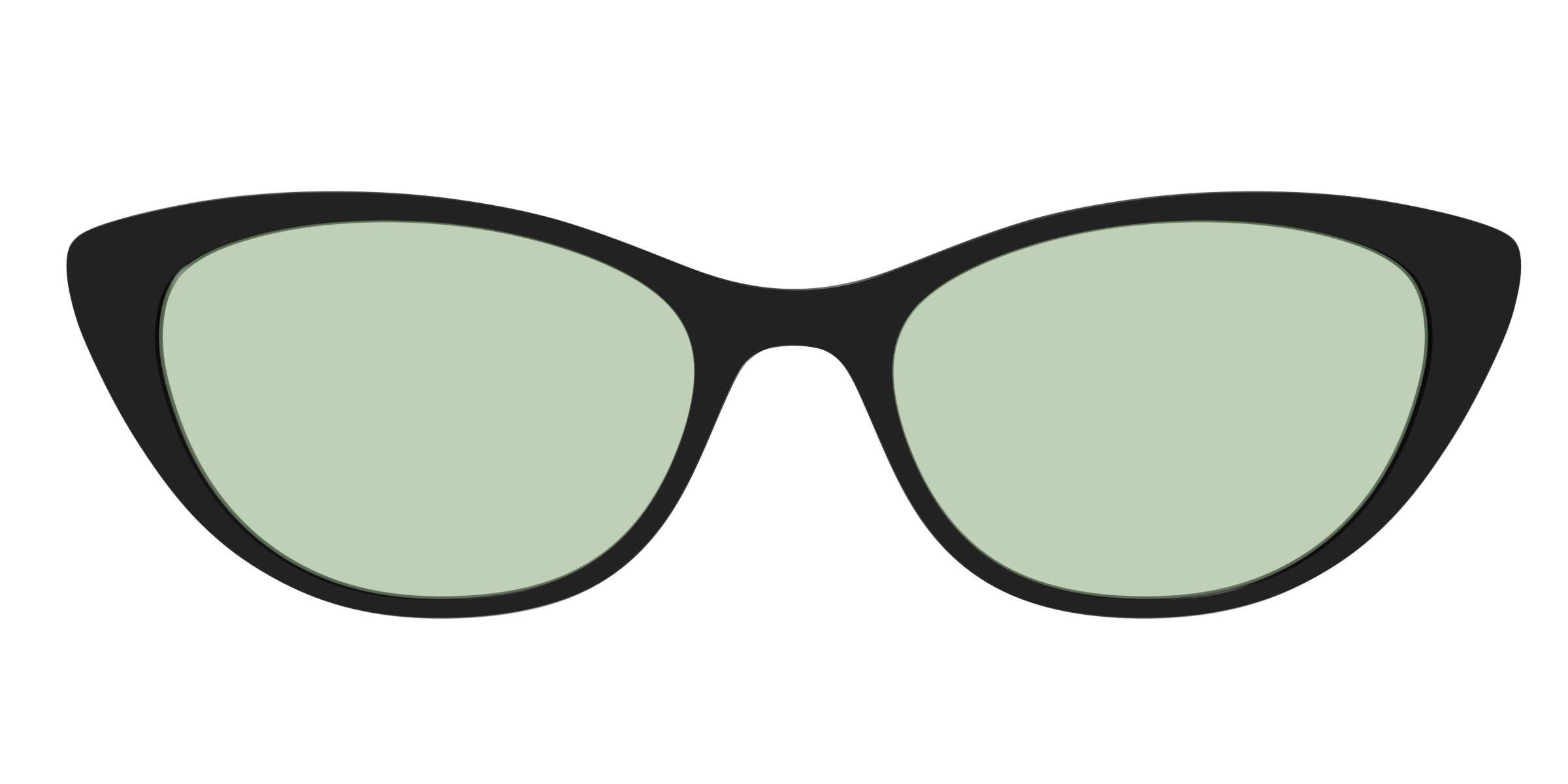 The Black With Sage Green Lens - Image 23