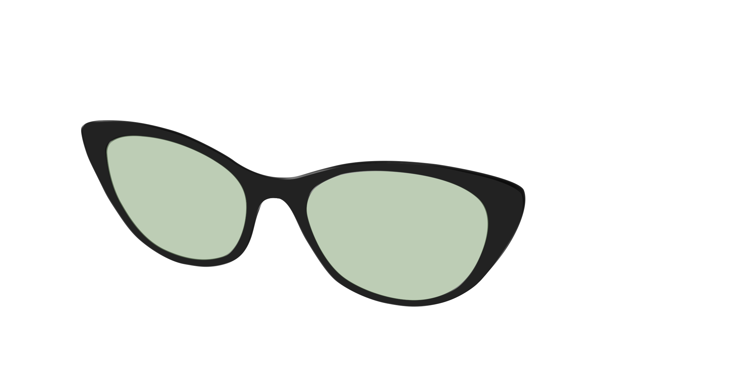 The Black With Sage Green Lens - Image 24