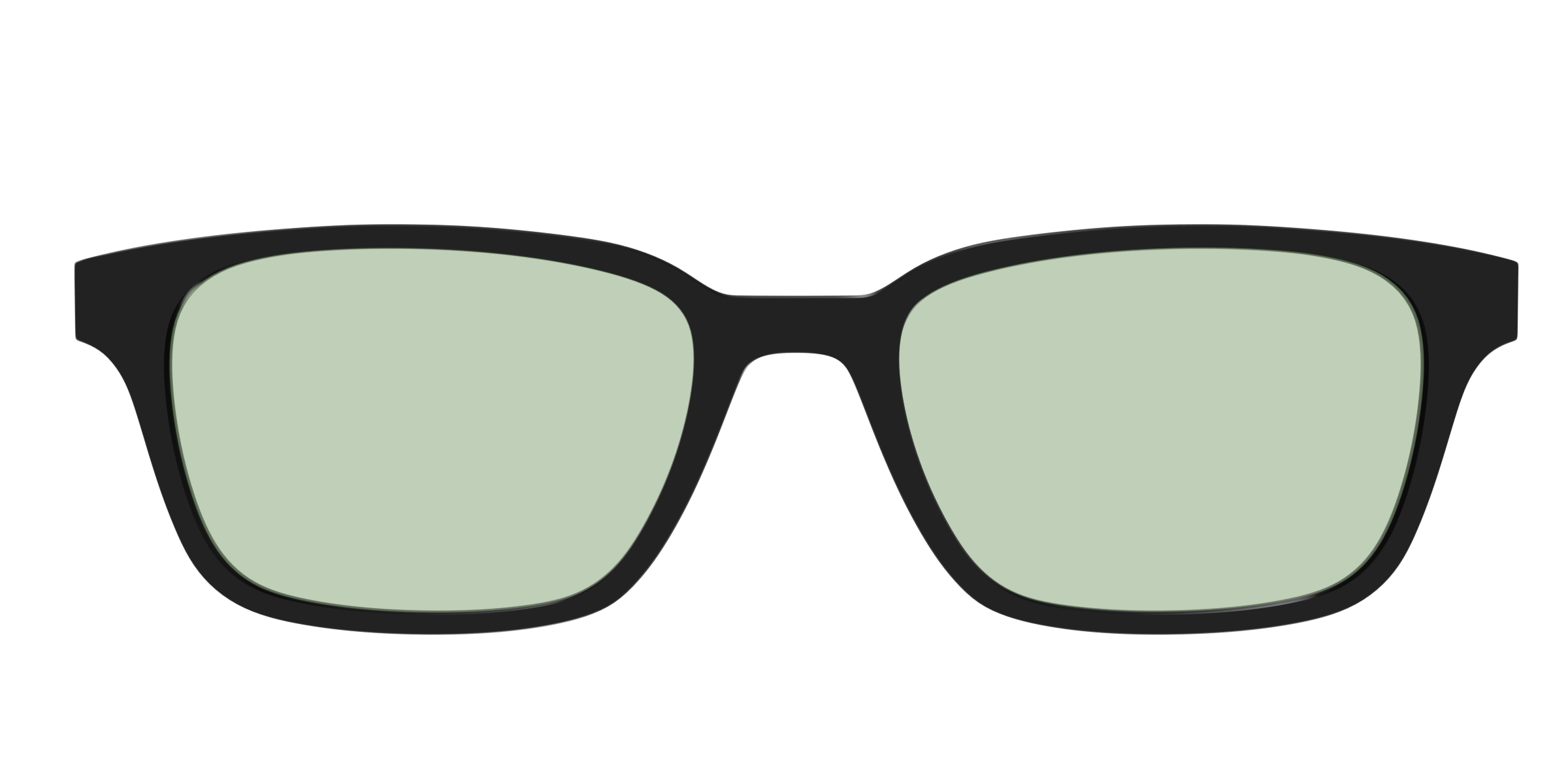 The Black With Sage Green Lens - Image 21