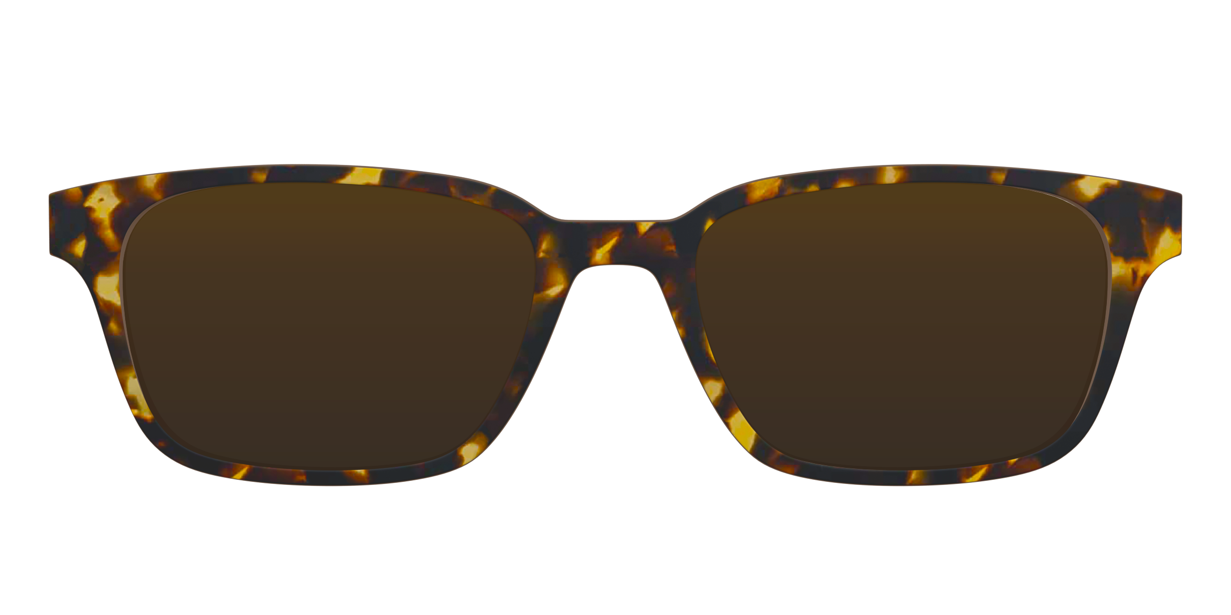 The Polarized Tortoise Sun Top - Image 11