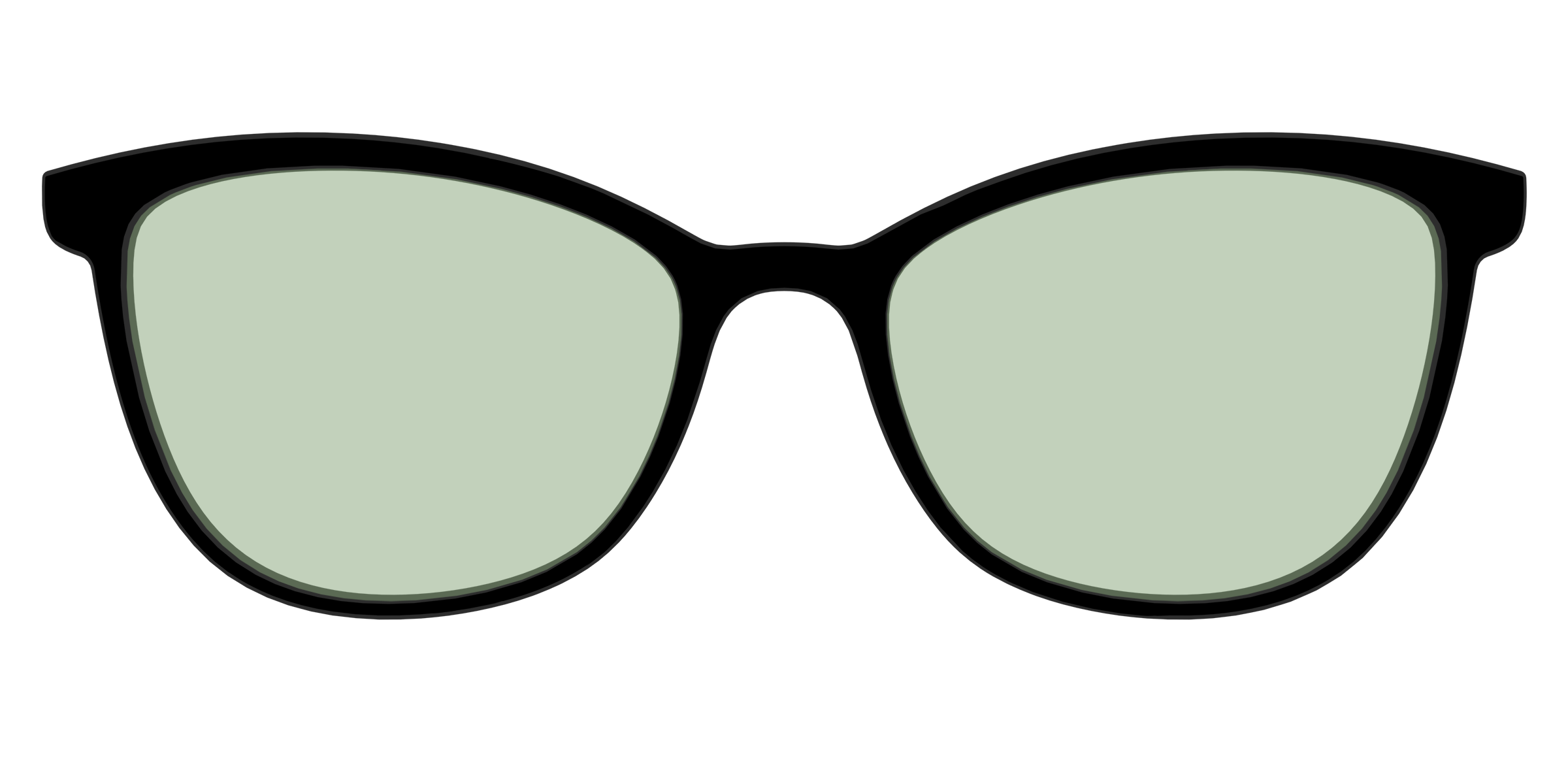 The Black With Sage Green Lens - Image 53