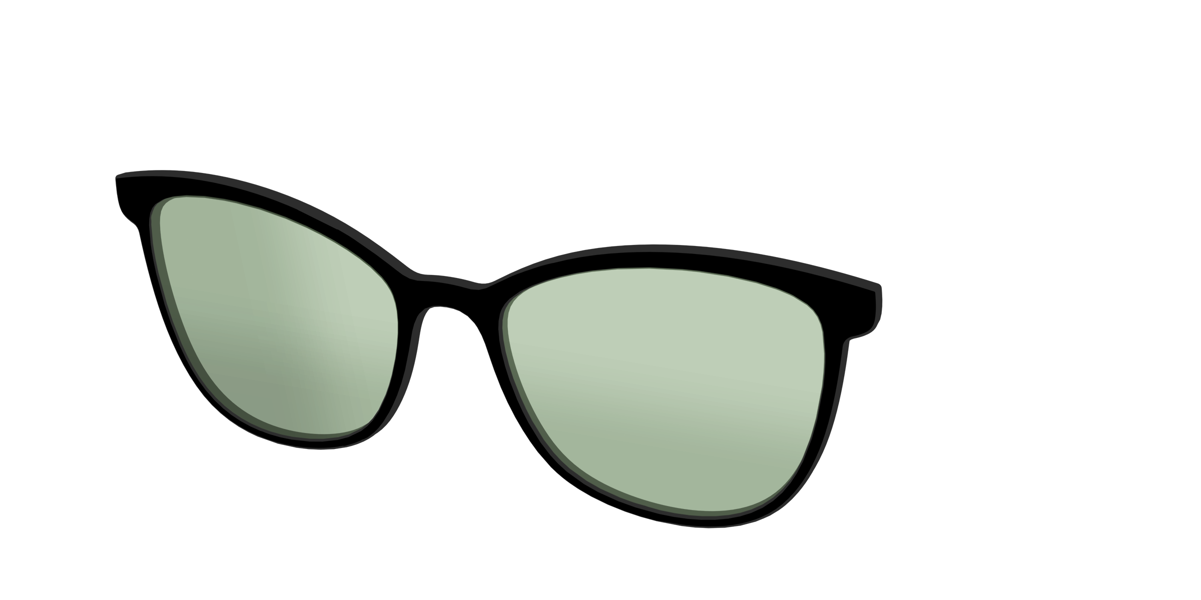The Black With Sage Green Lens - Image 54
