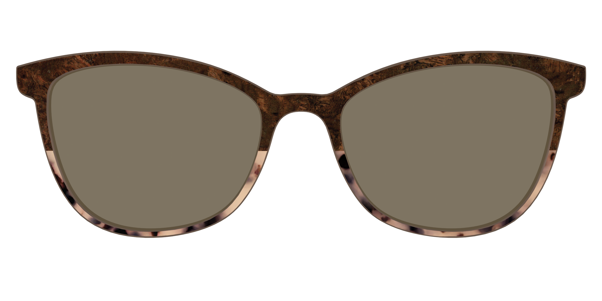 The Polarized Dark Oak Tortoise Split Sun Top - Image 53