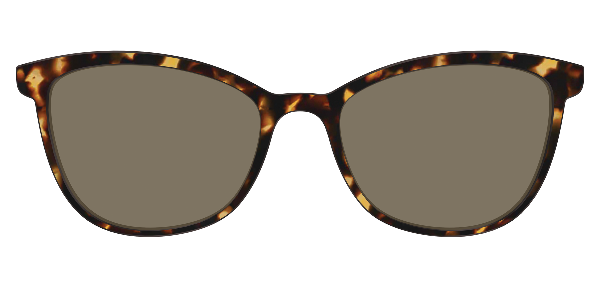 The Polarized Tortoise Sun Top - Image 35