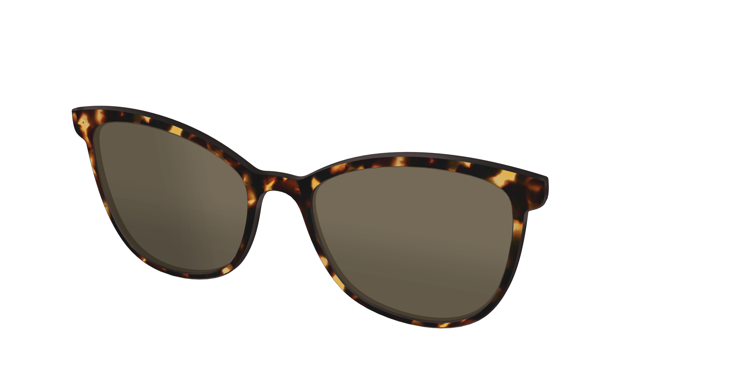 The Polarized Tortoise Sun Top - Image 36