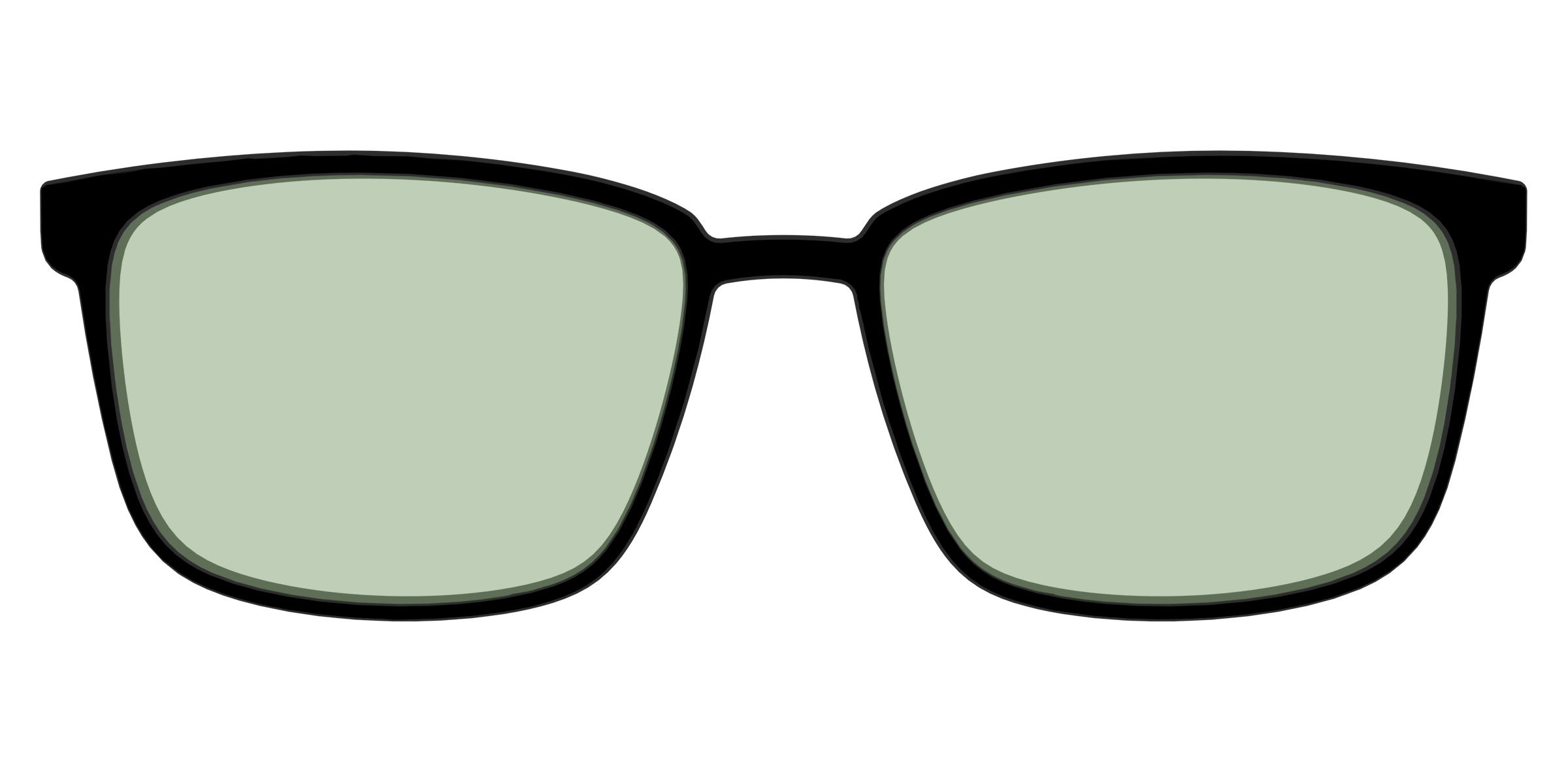 The Black With Sage Green Lens - Image 49
