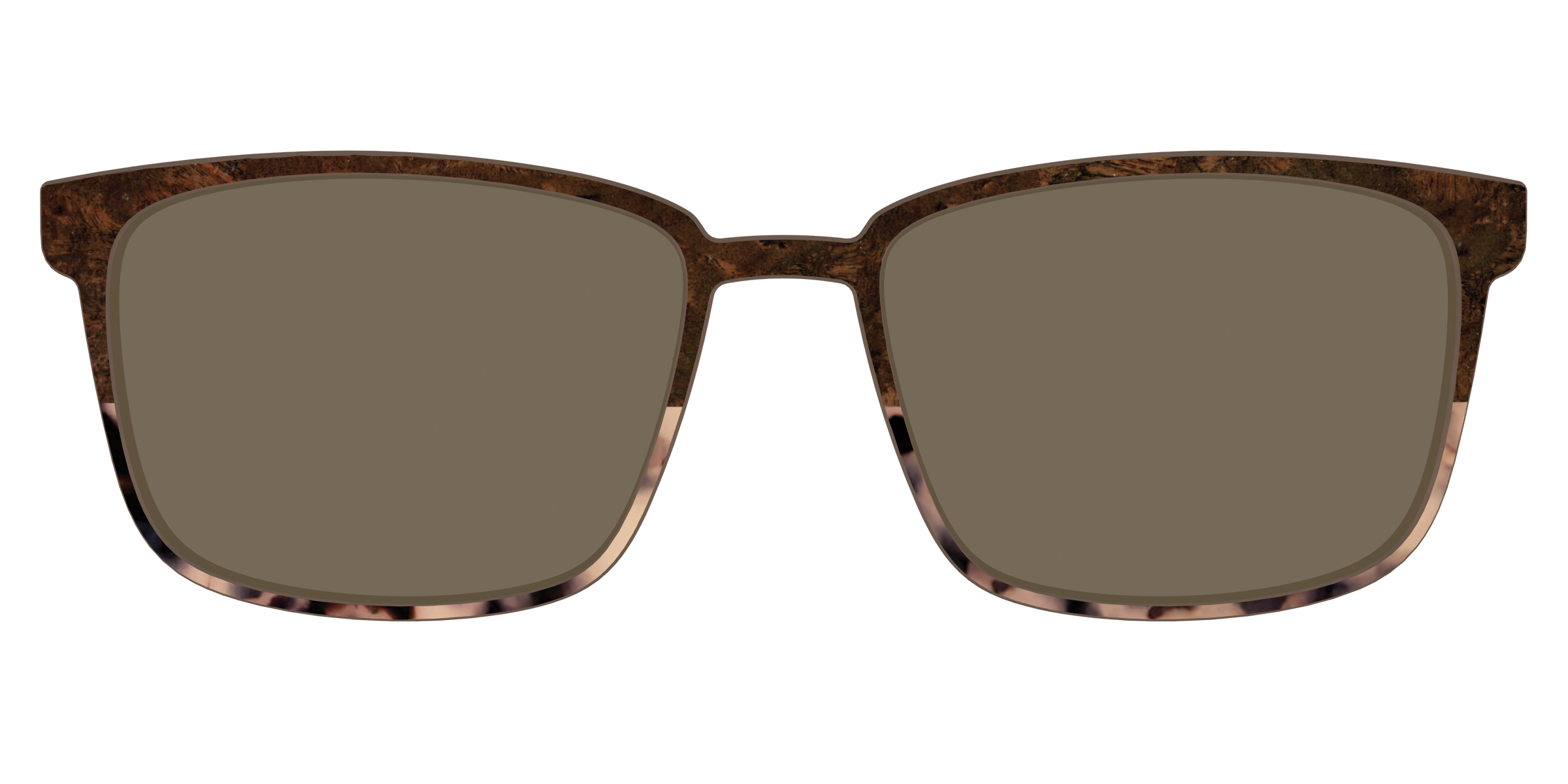 The Polarized Dark Oak Tortoise Split Sun Top - Image 49
