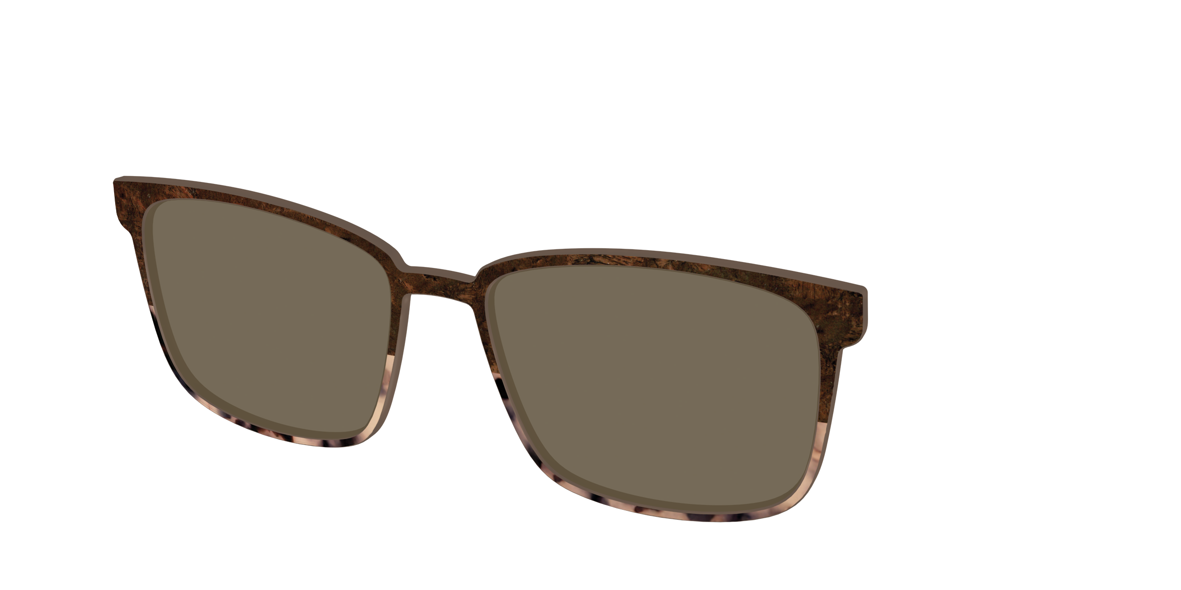 The Polarized Dark Oak Tortoise Split Sun Top - Image 50