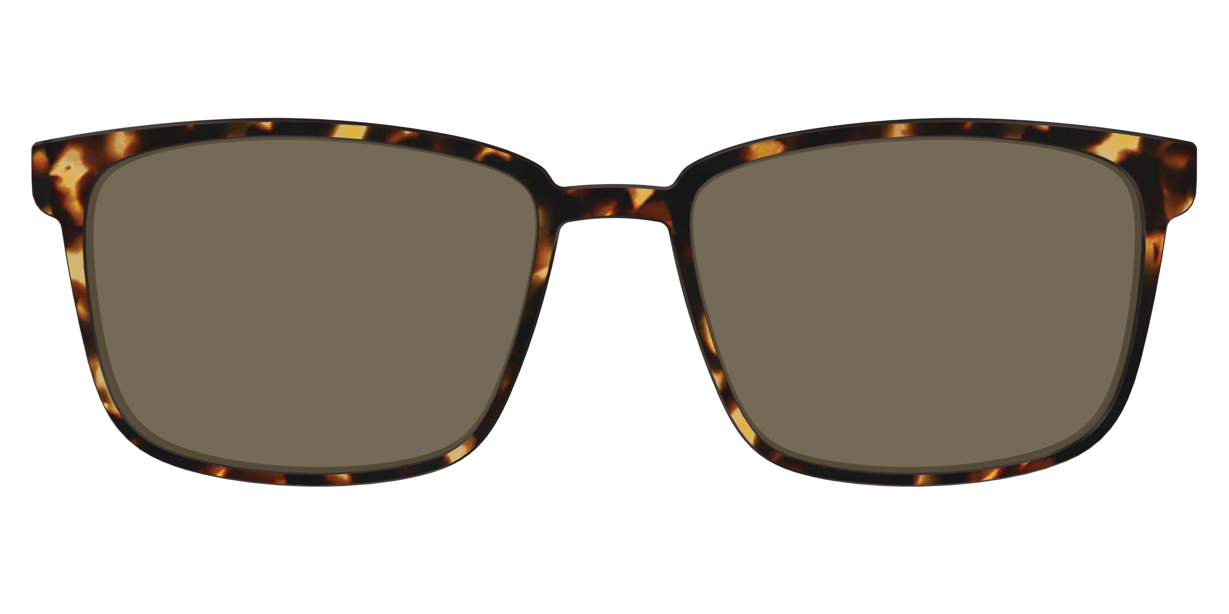 The Polarized Tortoise Sun Top - Image 31