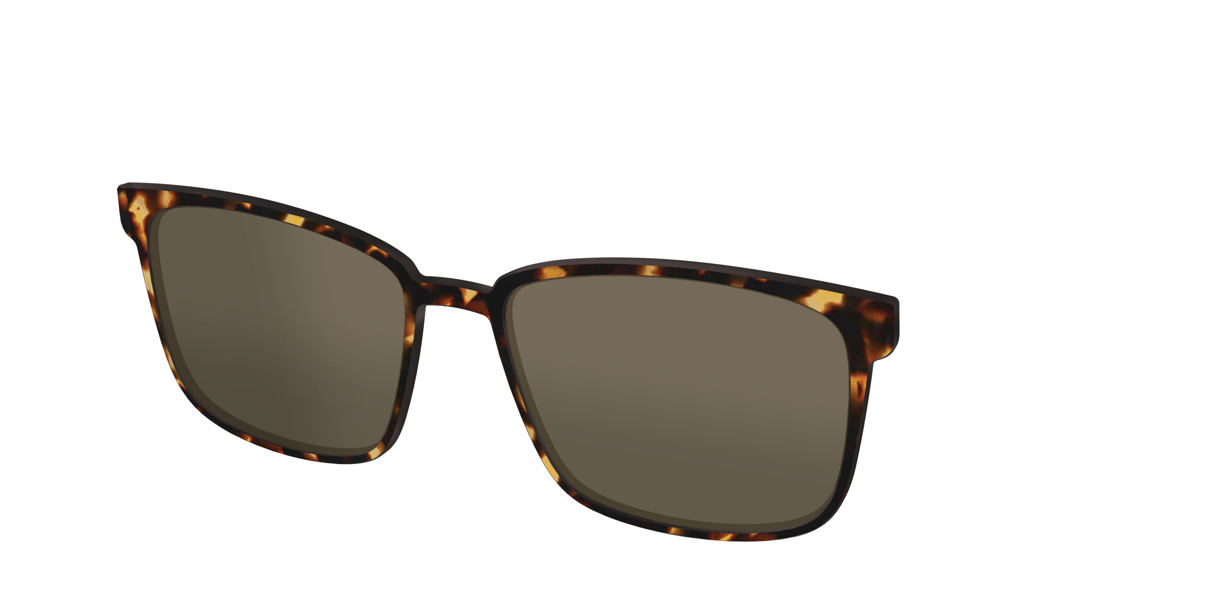 The Polarized Tortoise Sun Top - Image 32