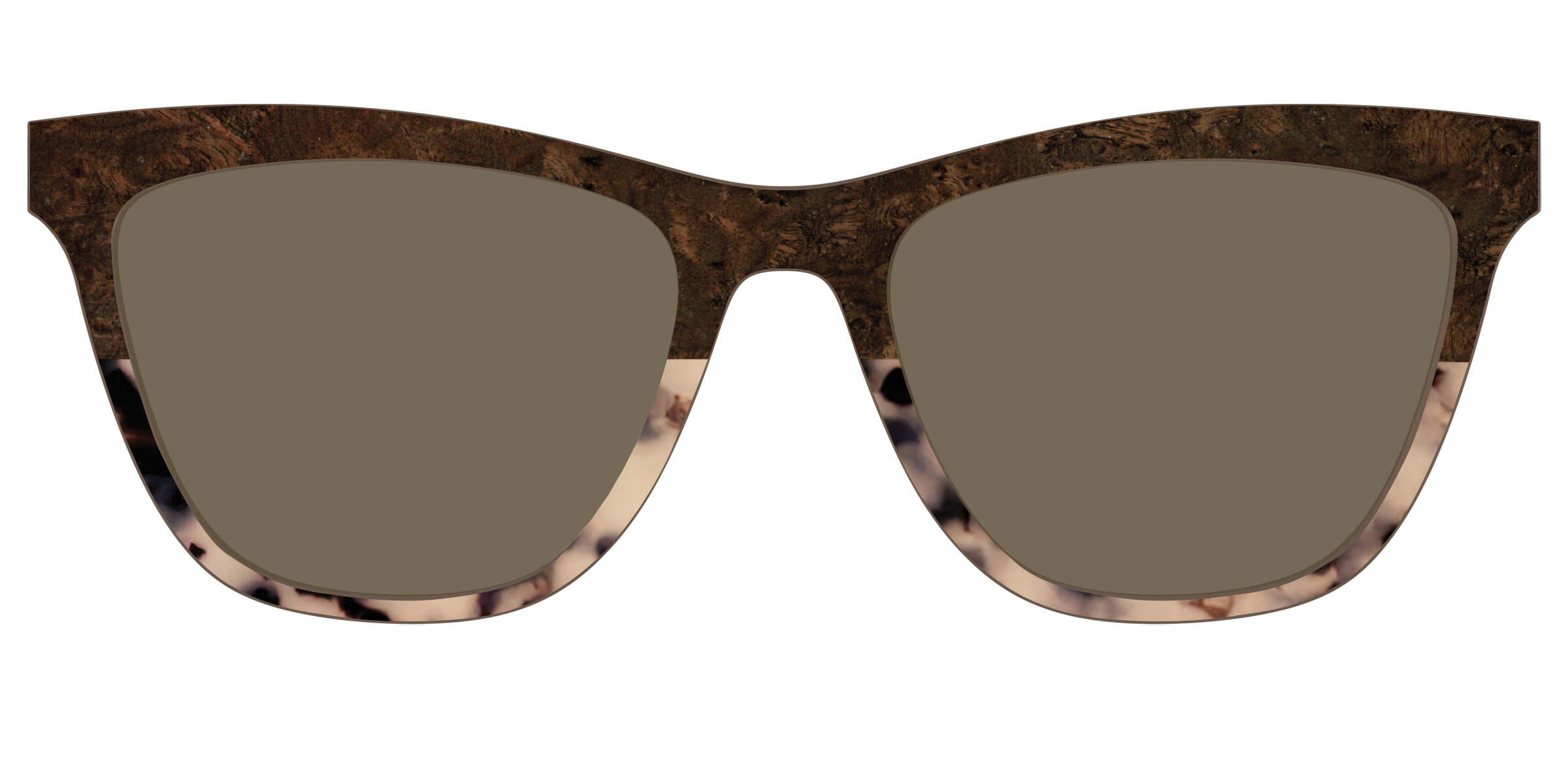 The Polarized Dark Oak Tortoise Split Sun Top - Image 29