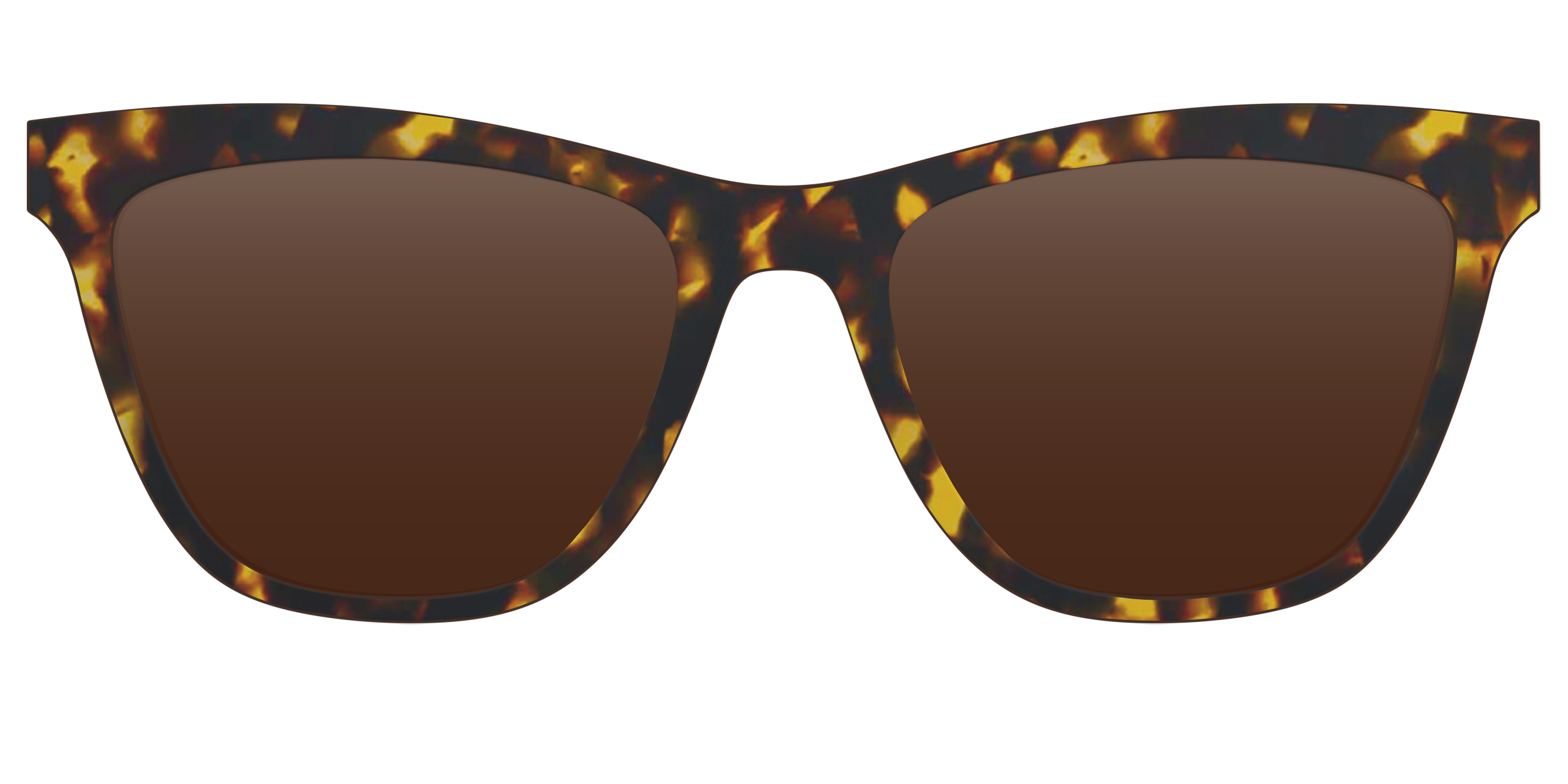 The Polarized Tortoise Sun Top - Image 15