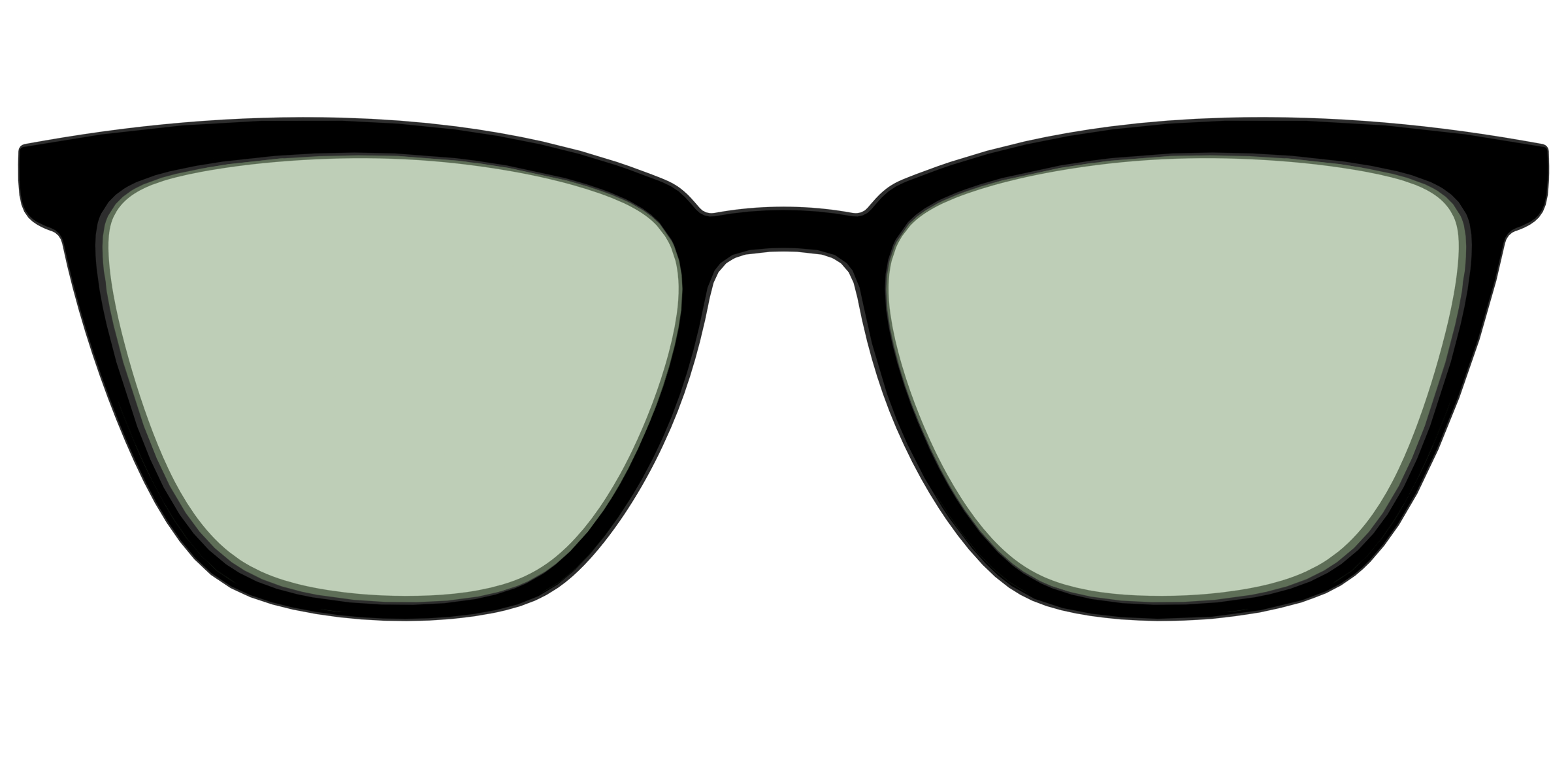The Black With Sage Green Lens - Image 57
