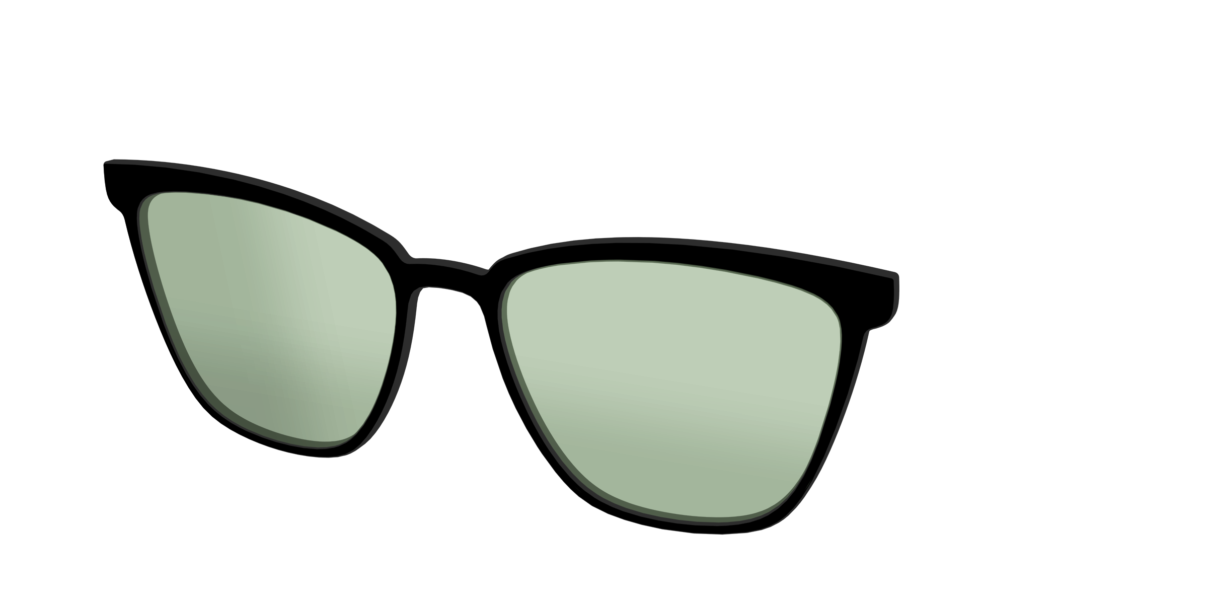 The Black With Sage Green Lens - Image 58