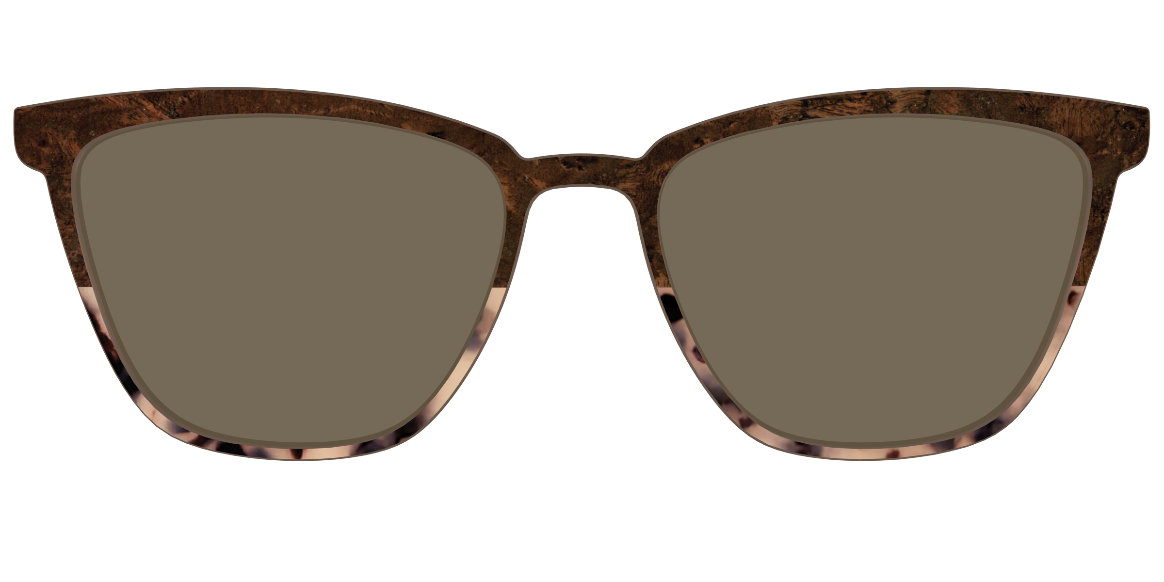 The Polarized Dark Oak Tortoise Split Sun Top - Image 57