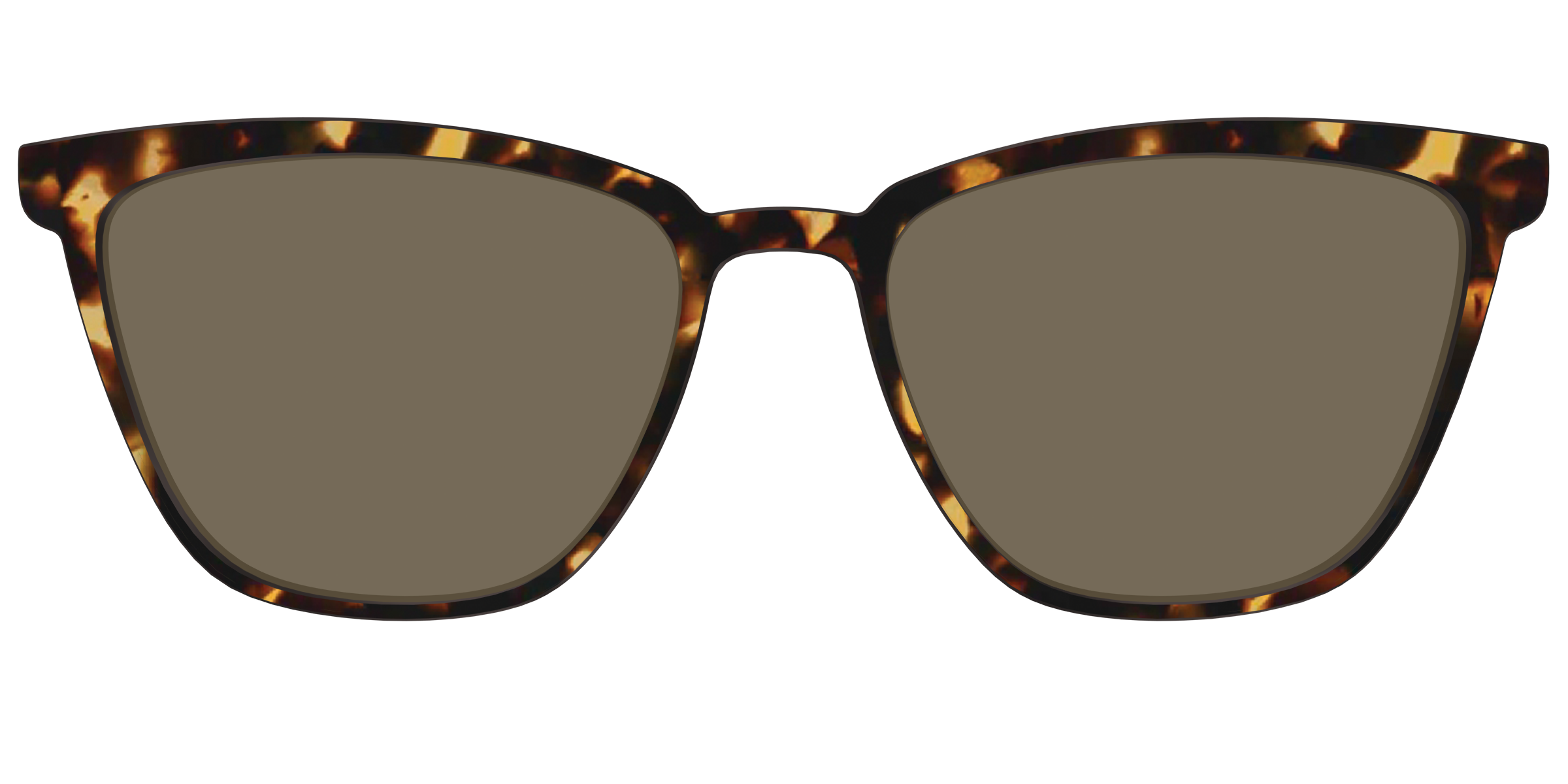 The Polarized Tortoise Sun Top - Image 39