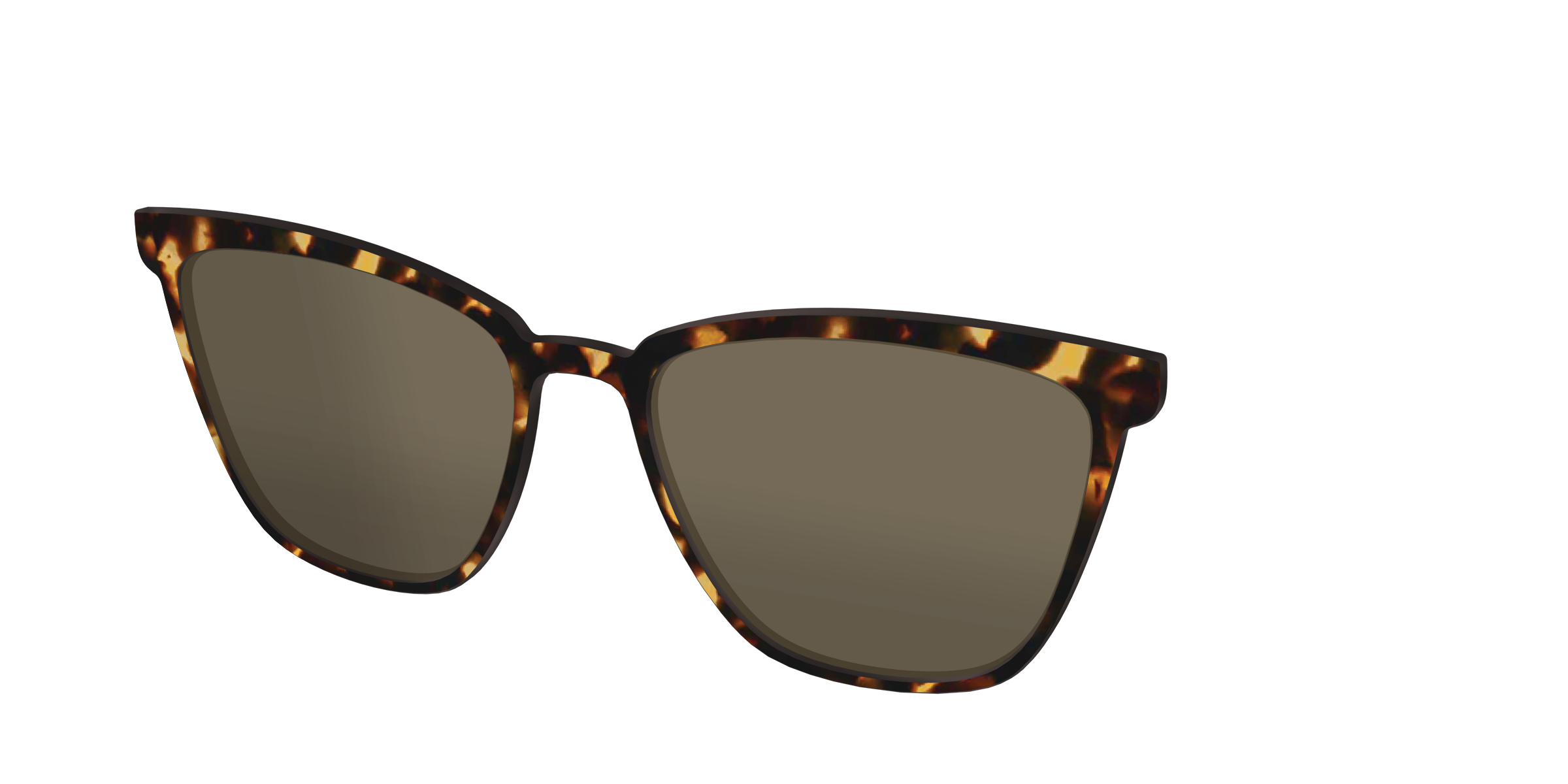 The Polarized Tortoise Sun Top - Image 40