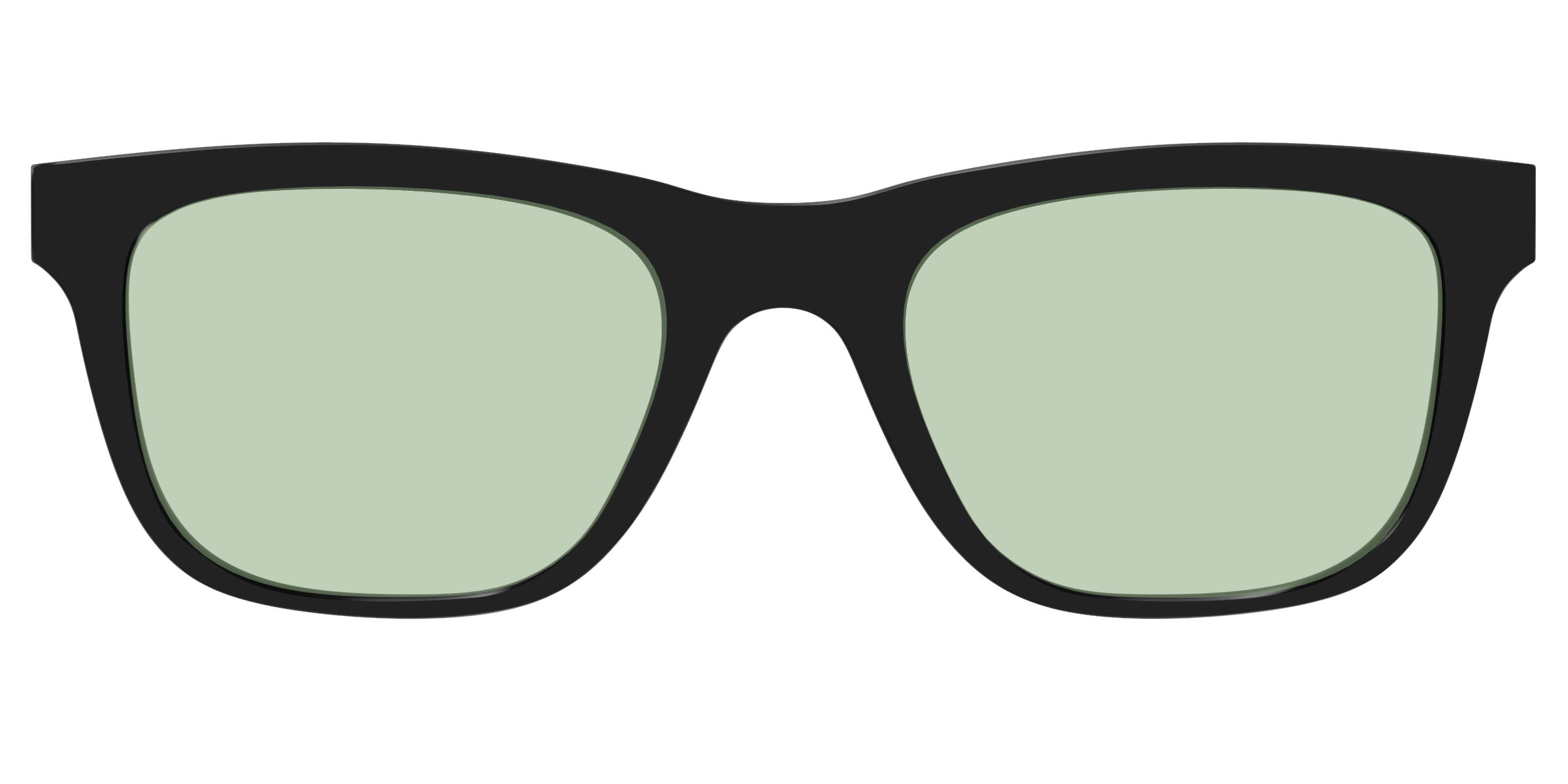 The Black With Sage Green Lens - Image 27