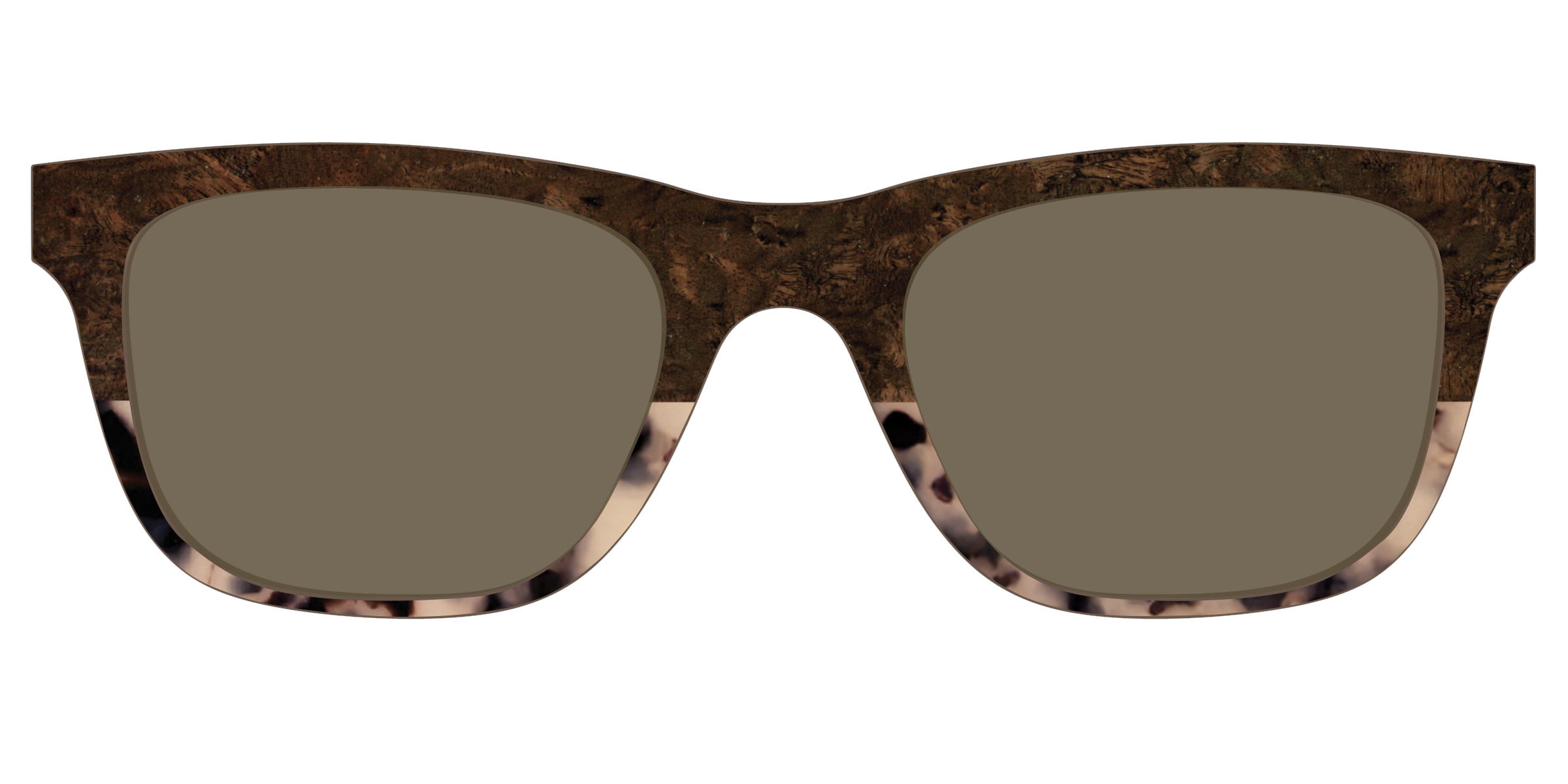 The Polarized Dark Oak Tortoise Split Sun Top - Image 27